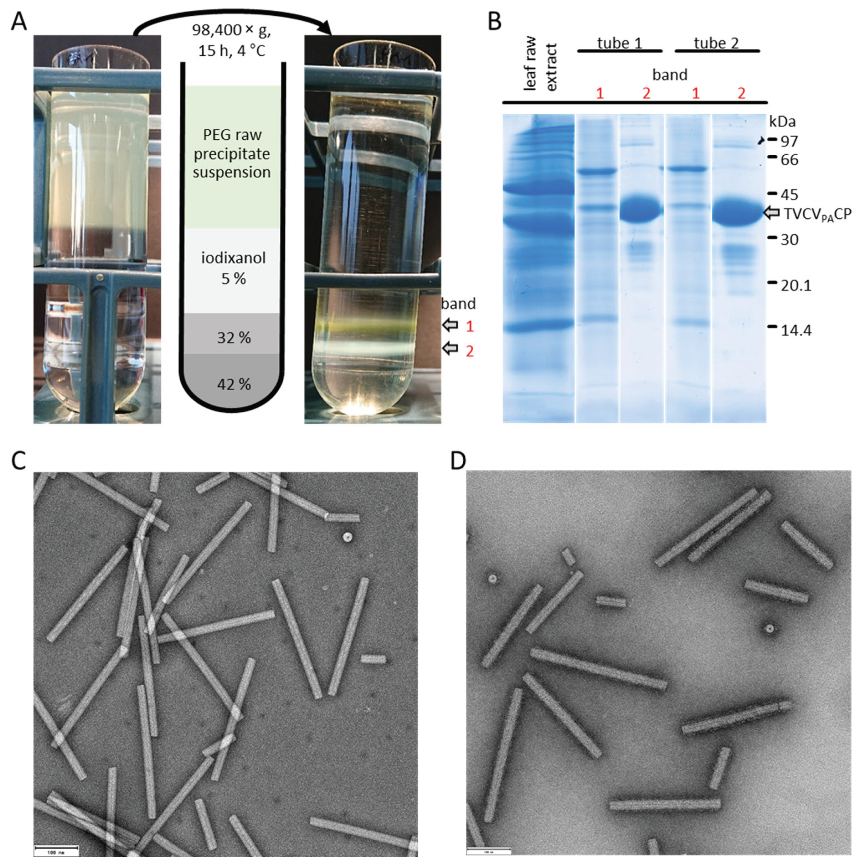 Preprints 102760 g003