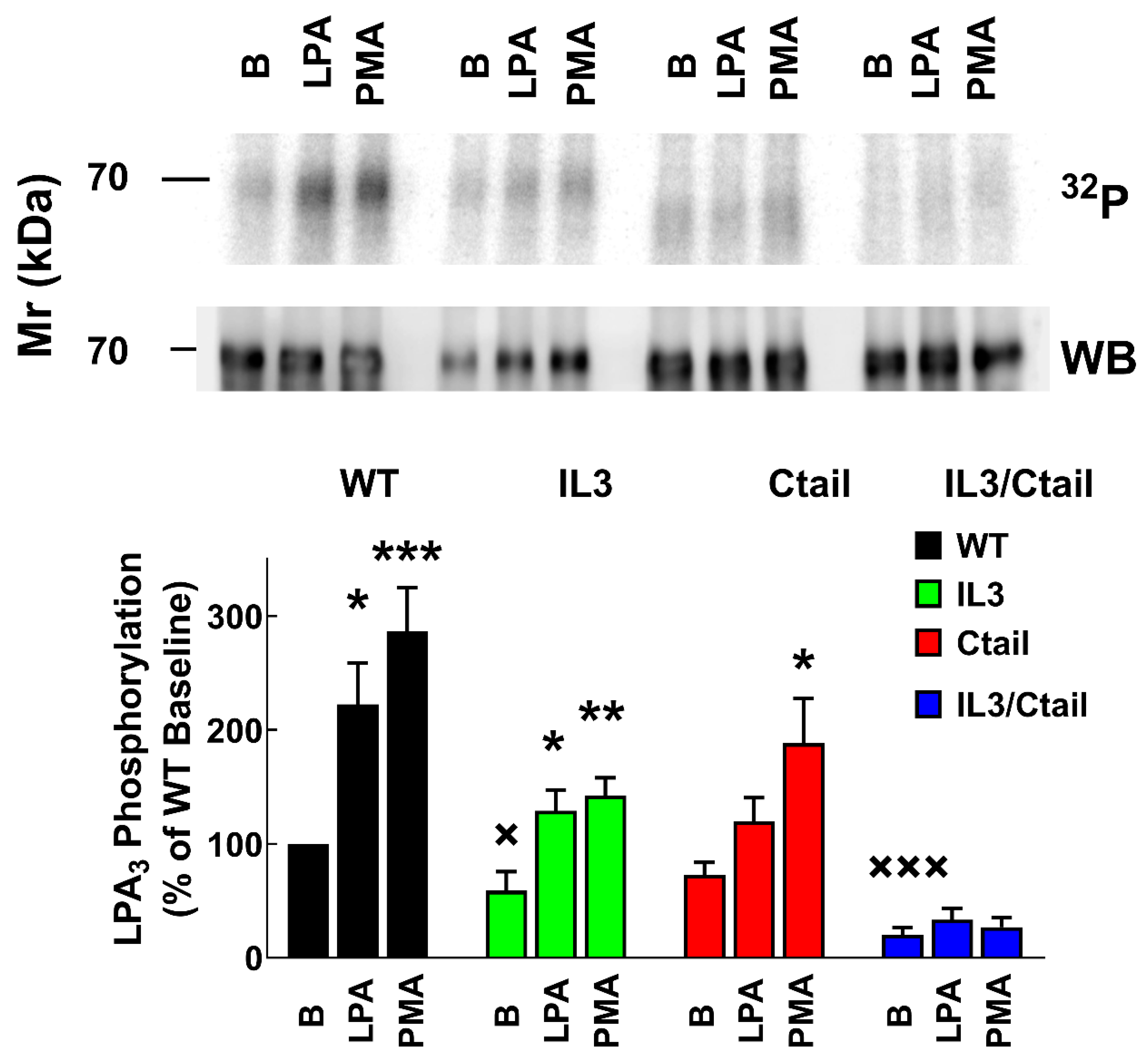 Preprints 103249 g001