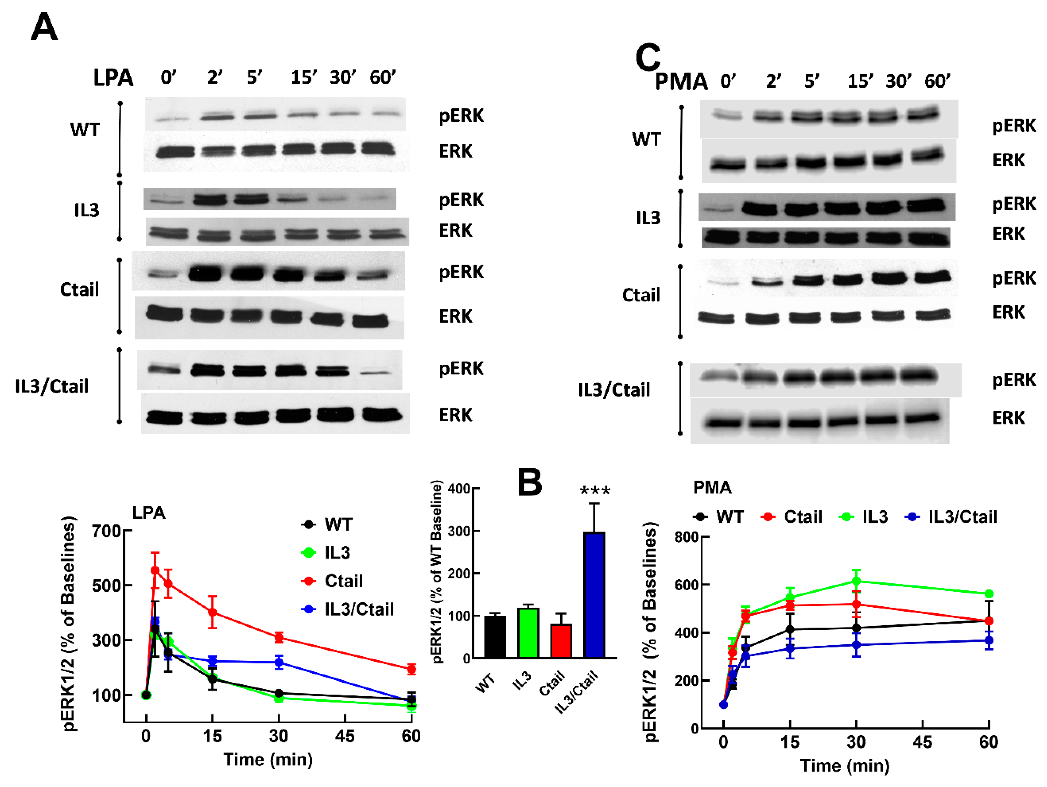 Preprints 103249 g003