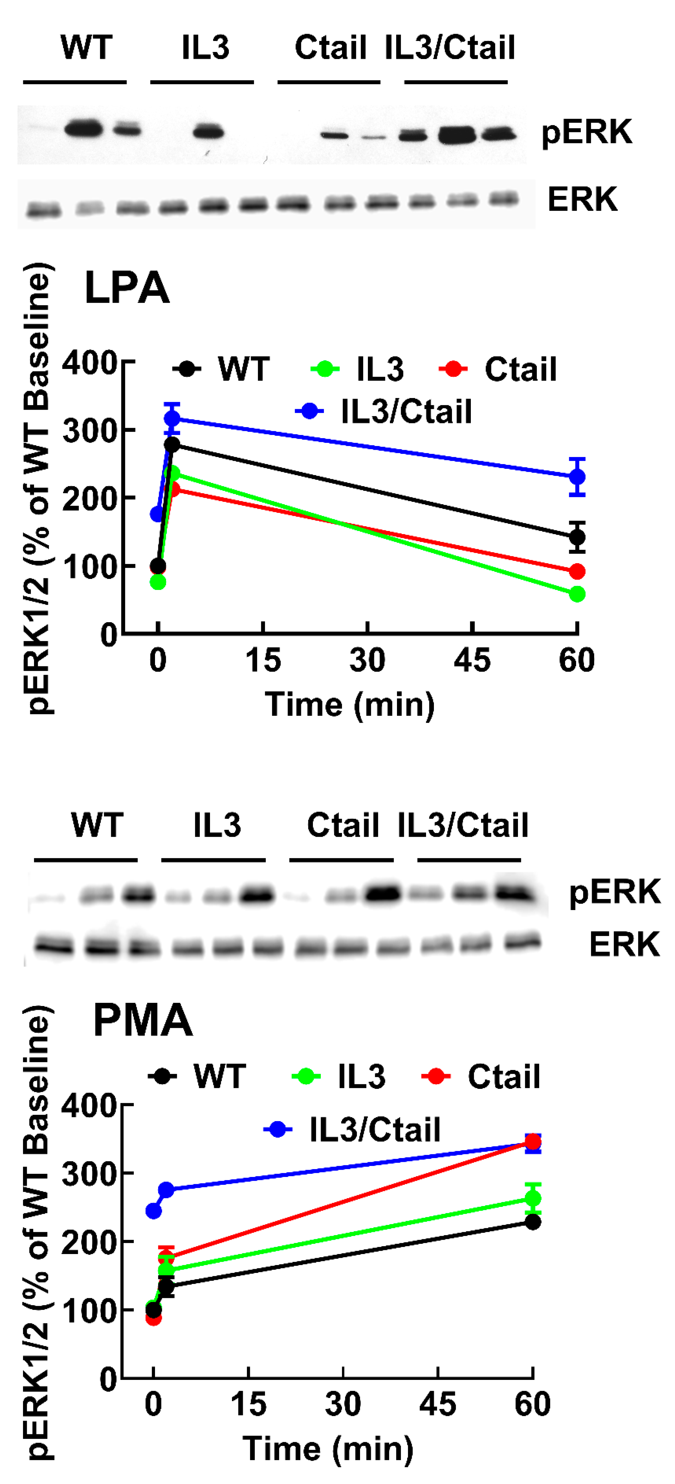 Preprints 103249 g004