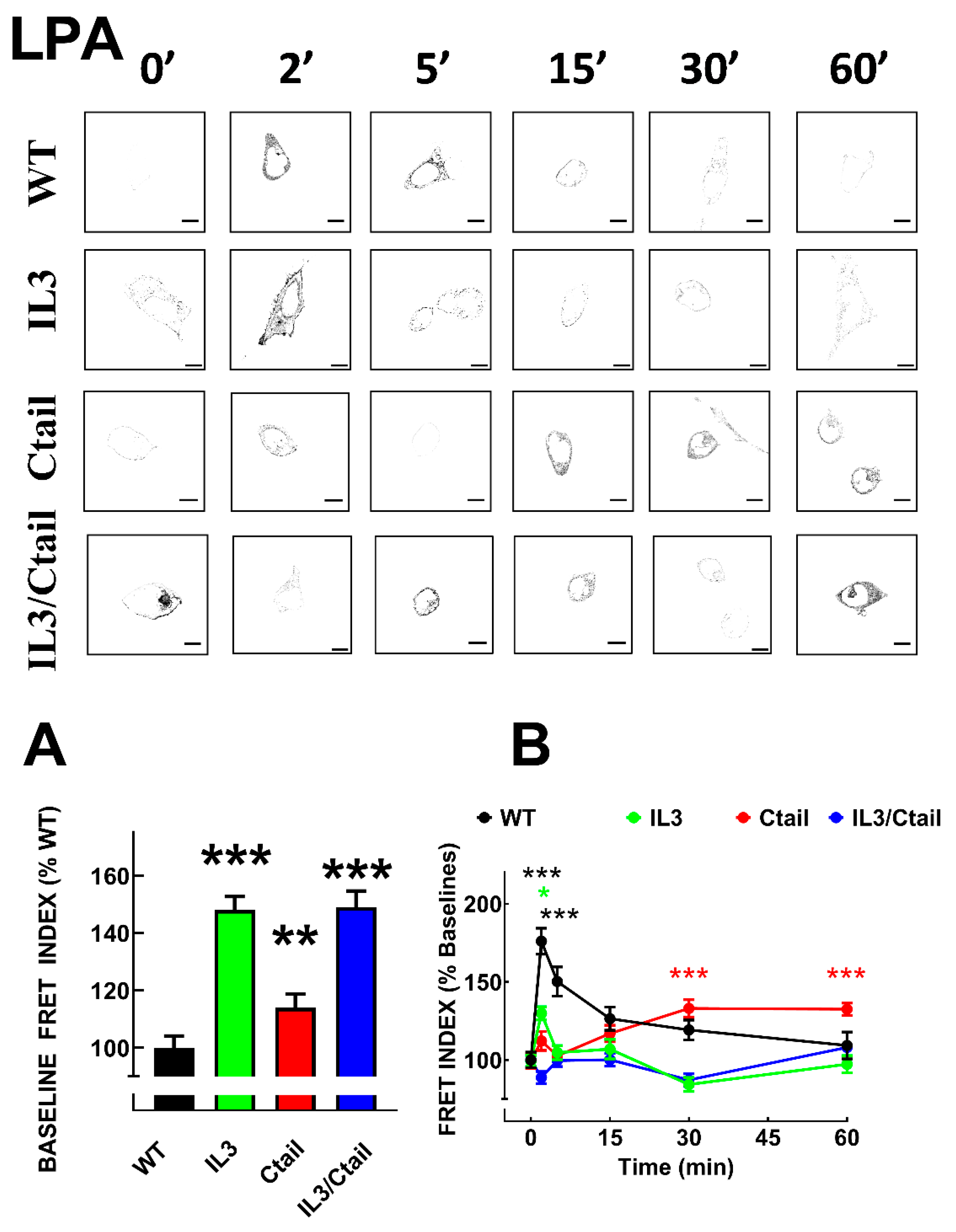 Preprints 103249 g005