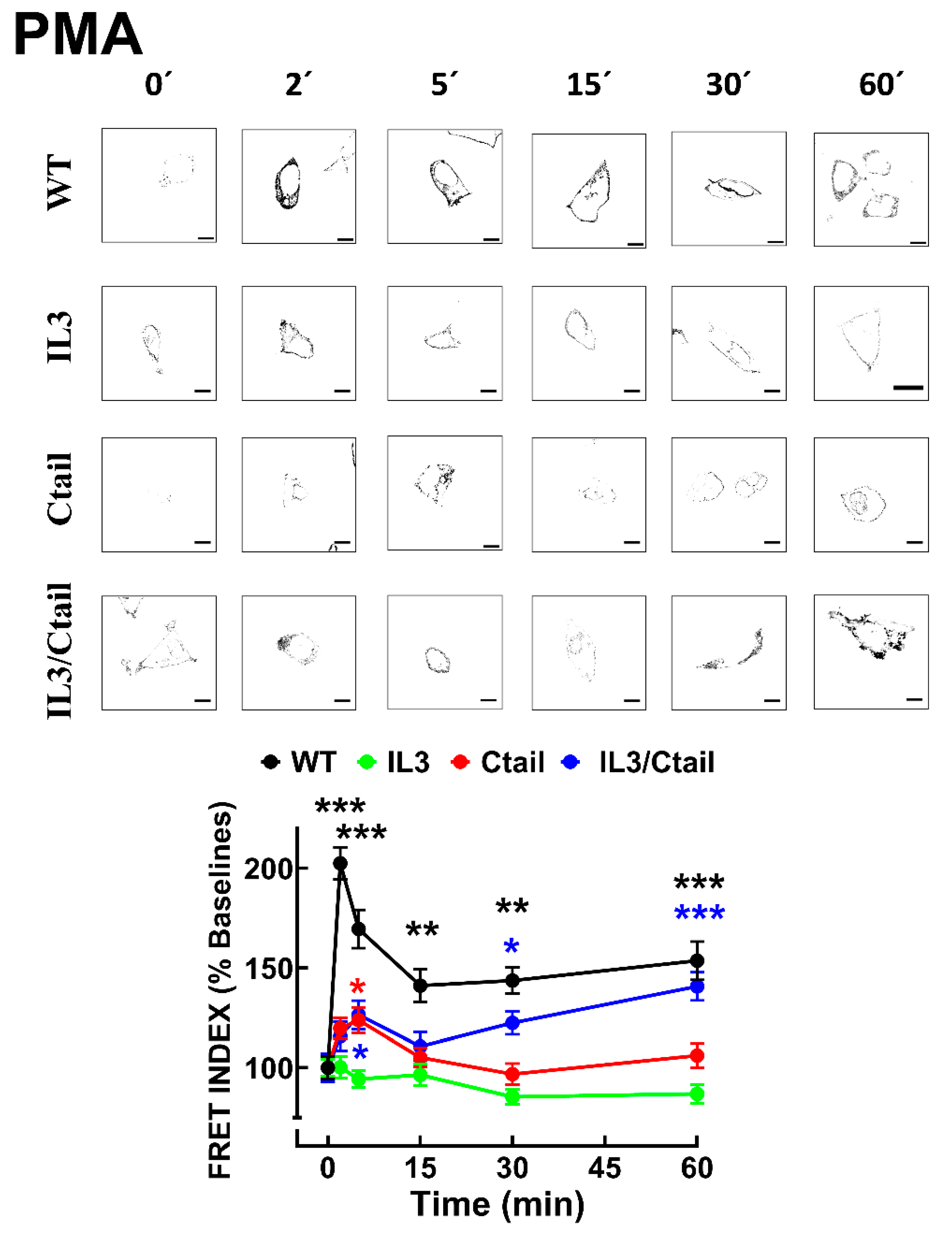 Preprints 103249 g006