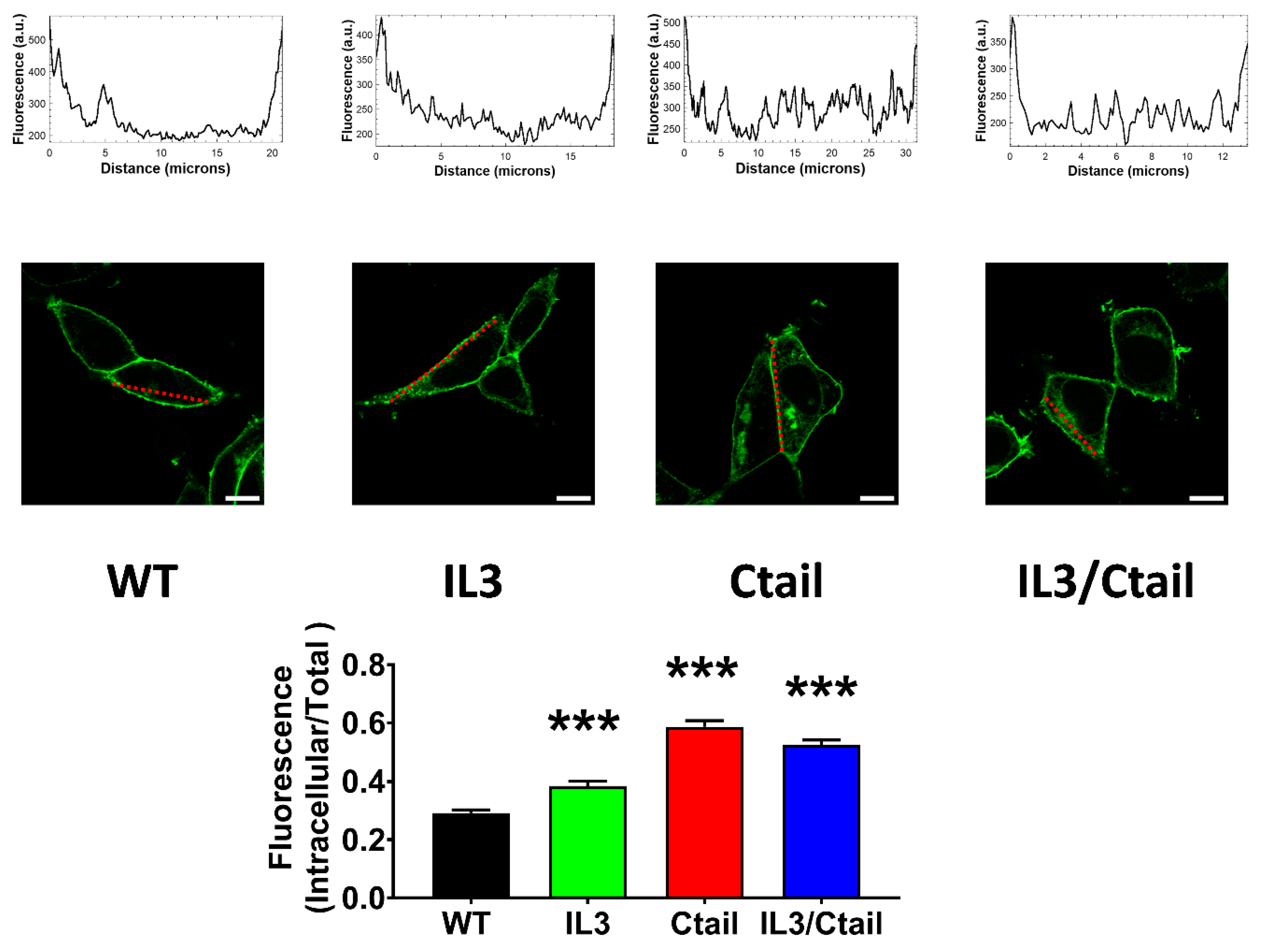 Preprints 103249 g007