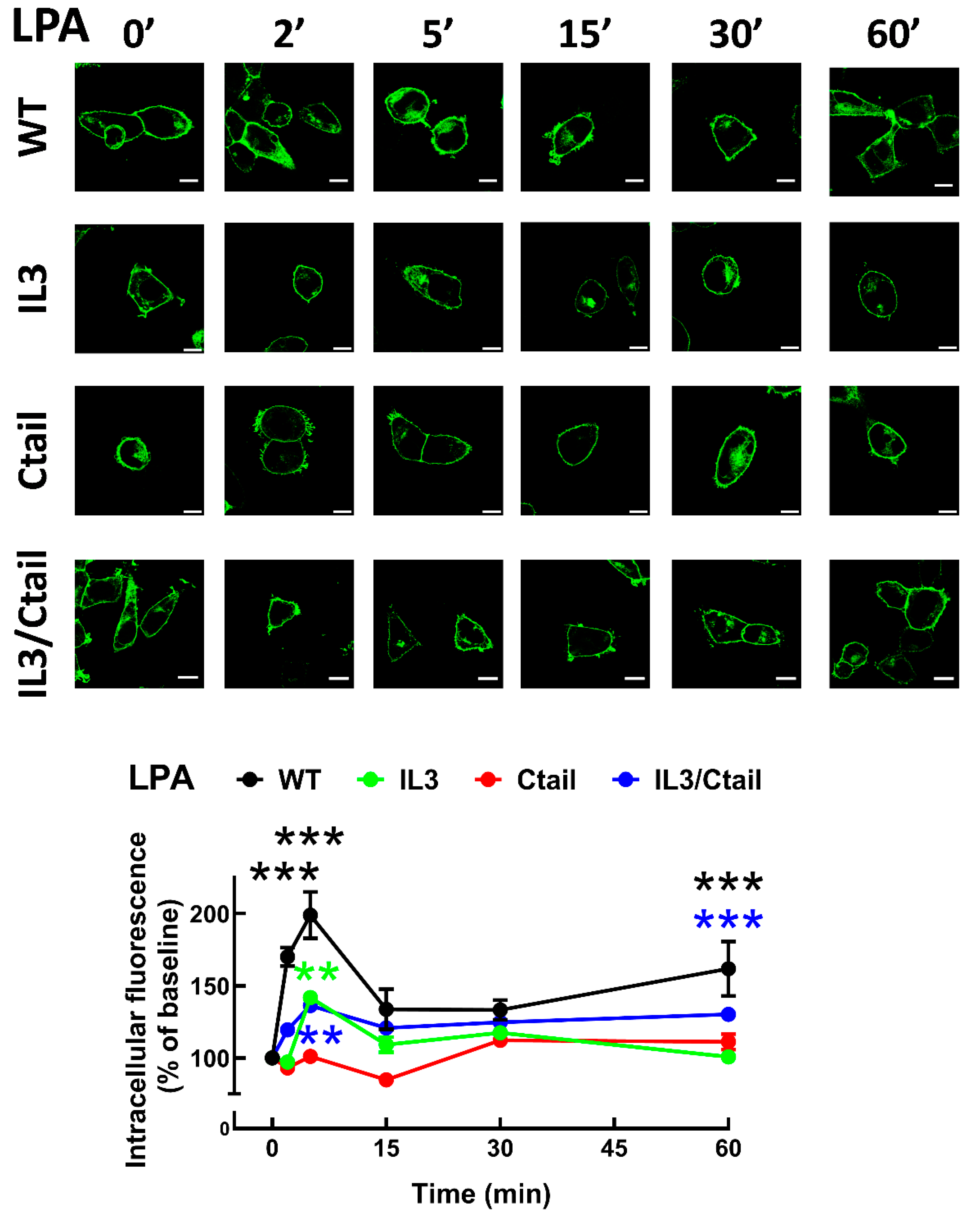 Preprints 103249 g008