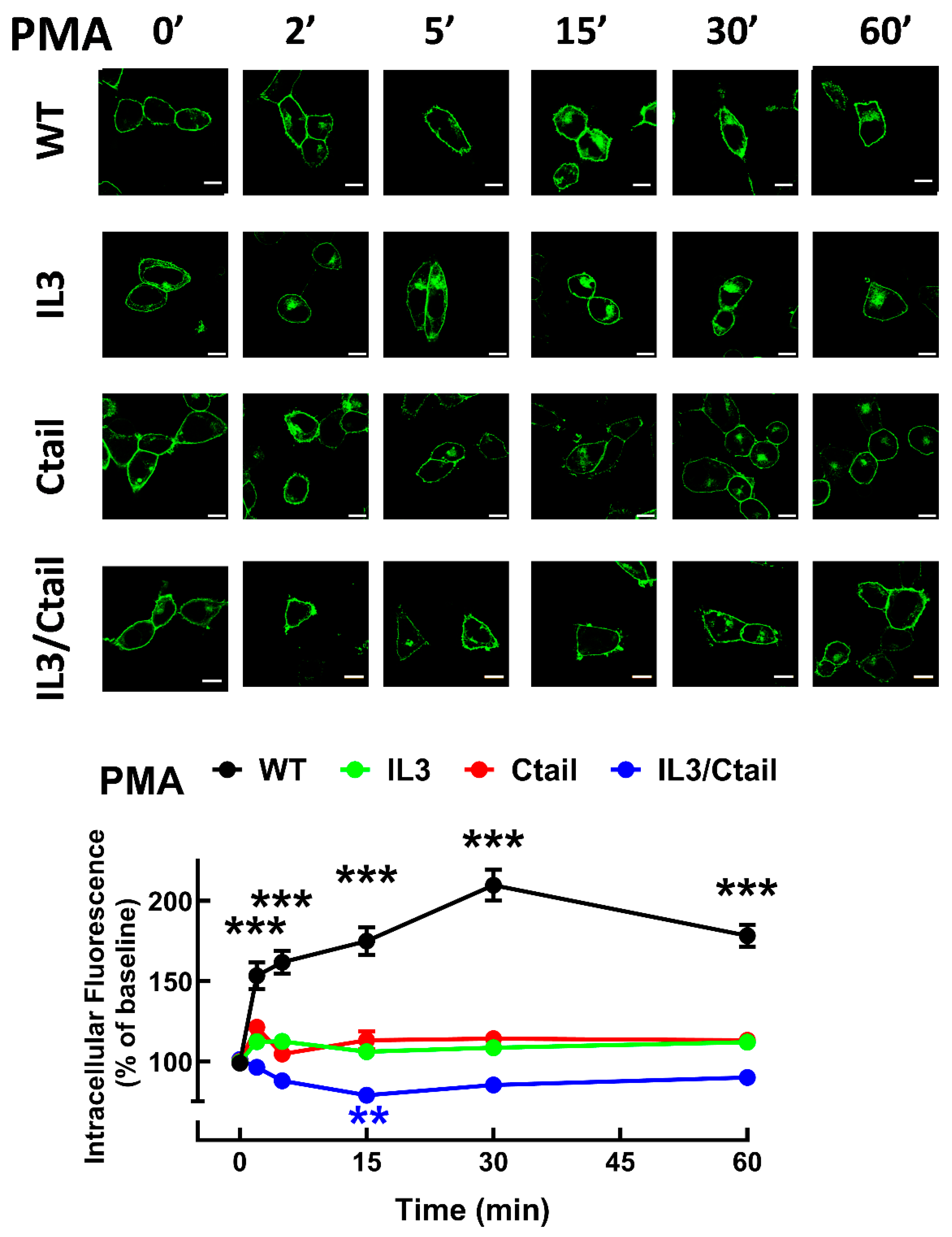 Preprints 103249 g009