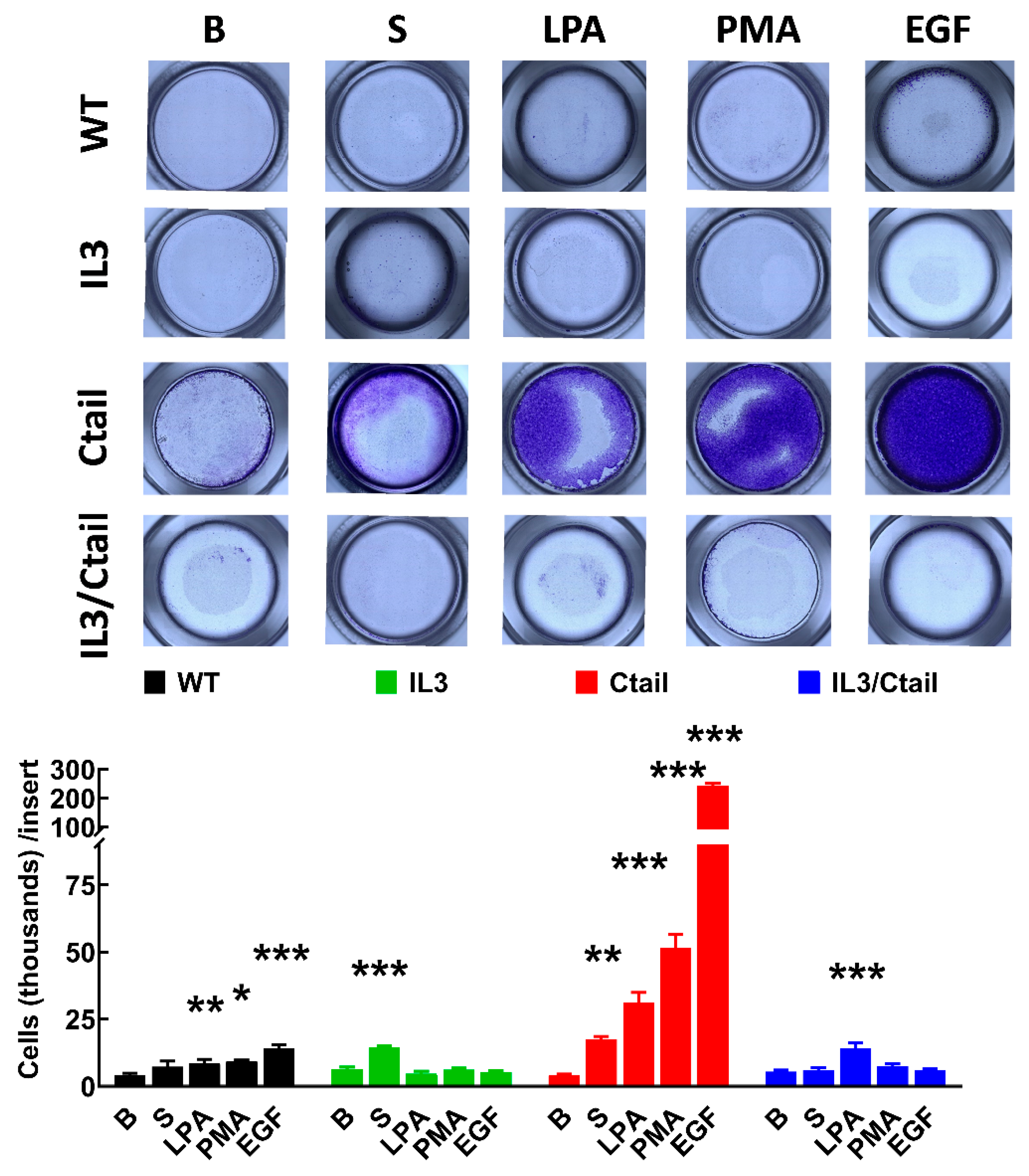 Preprints 103249 g011