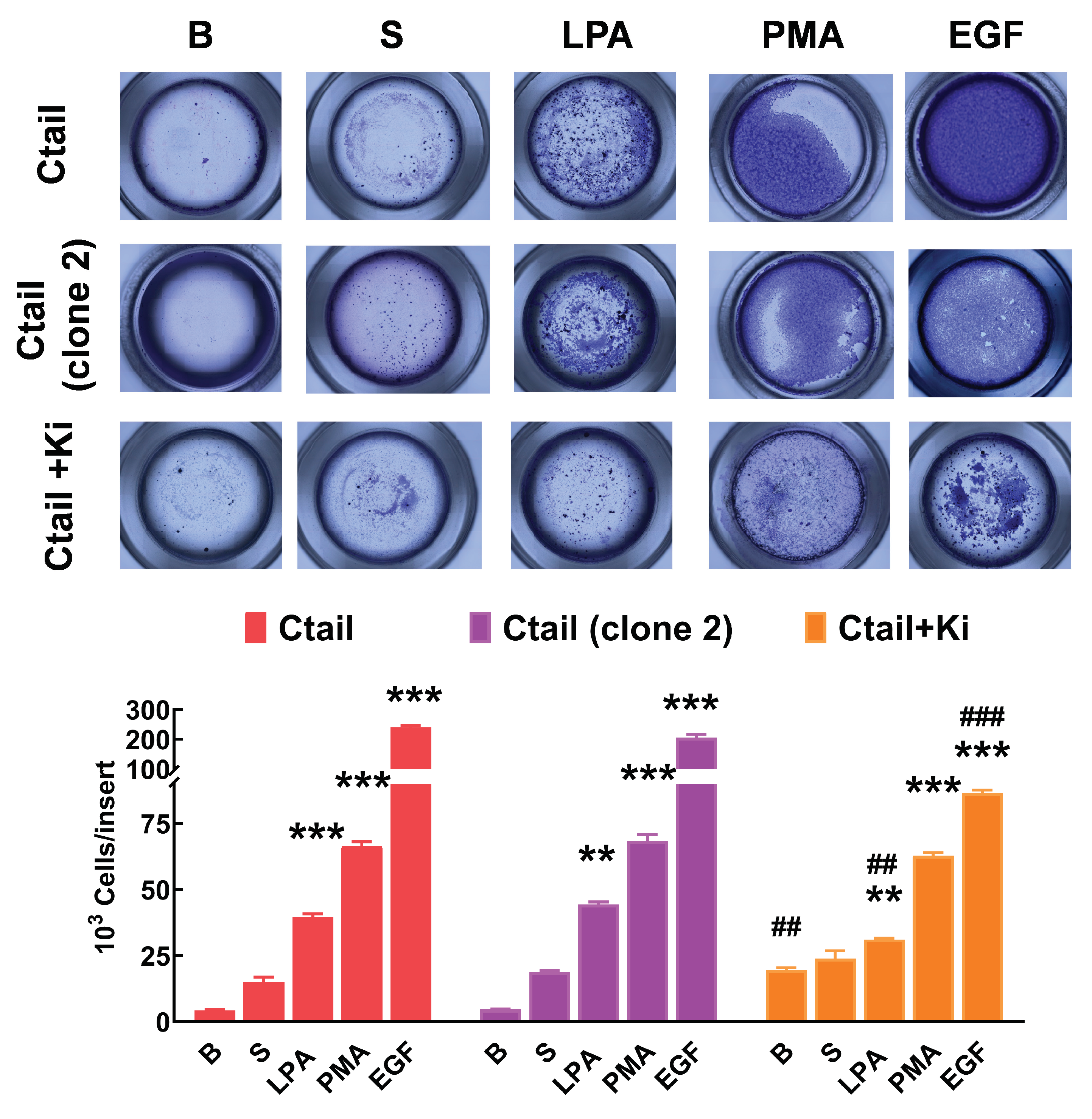 Preprints 103249 g012