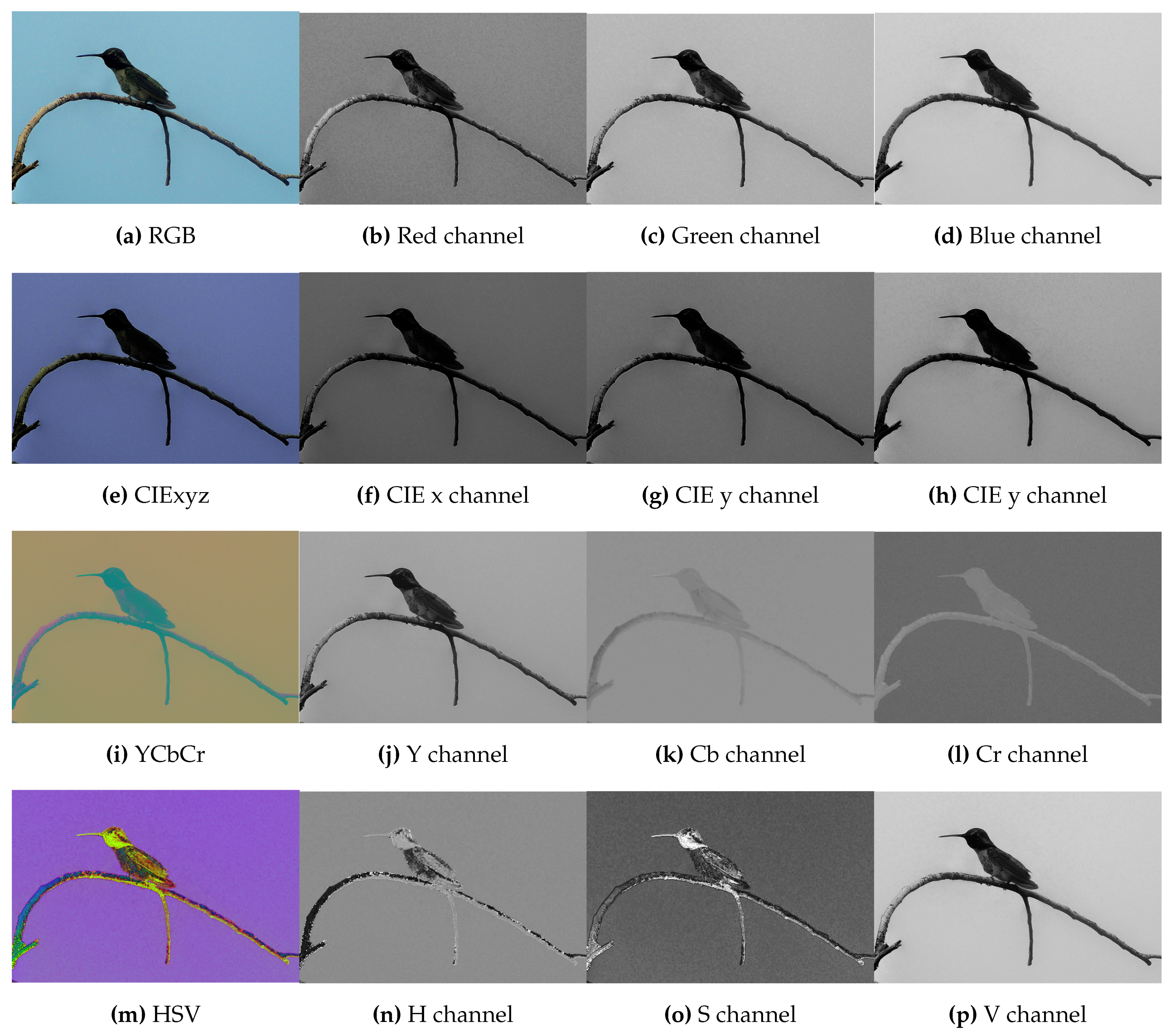 Preprints 98012 g002