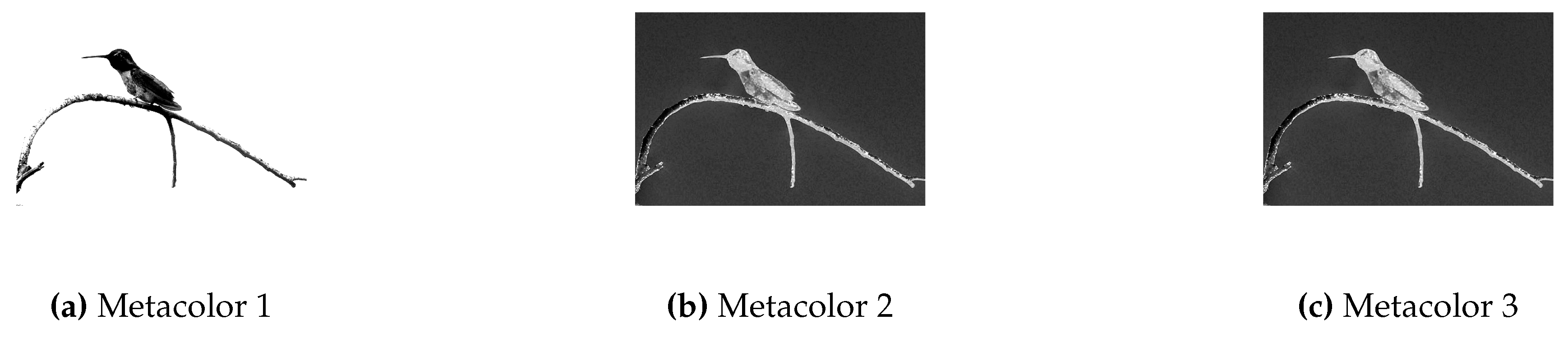 Preprints 98012 g003