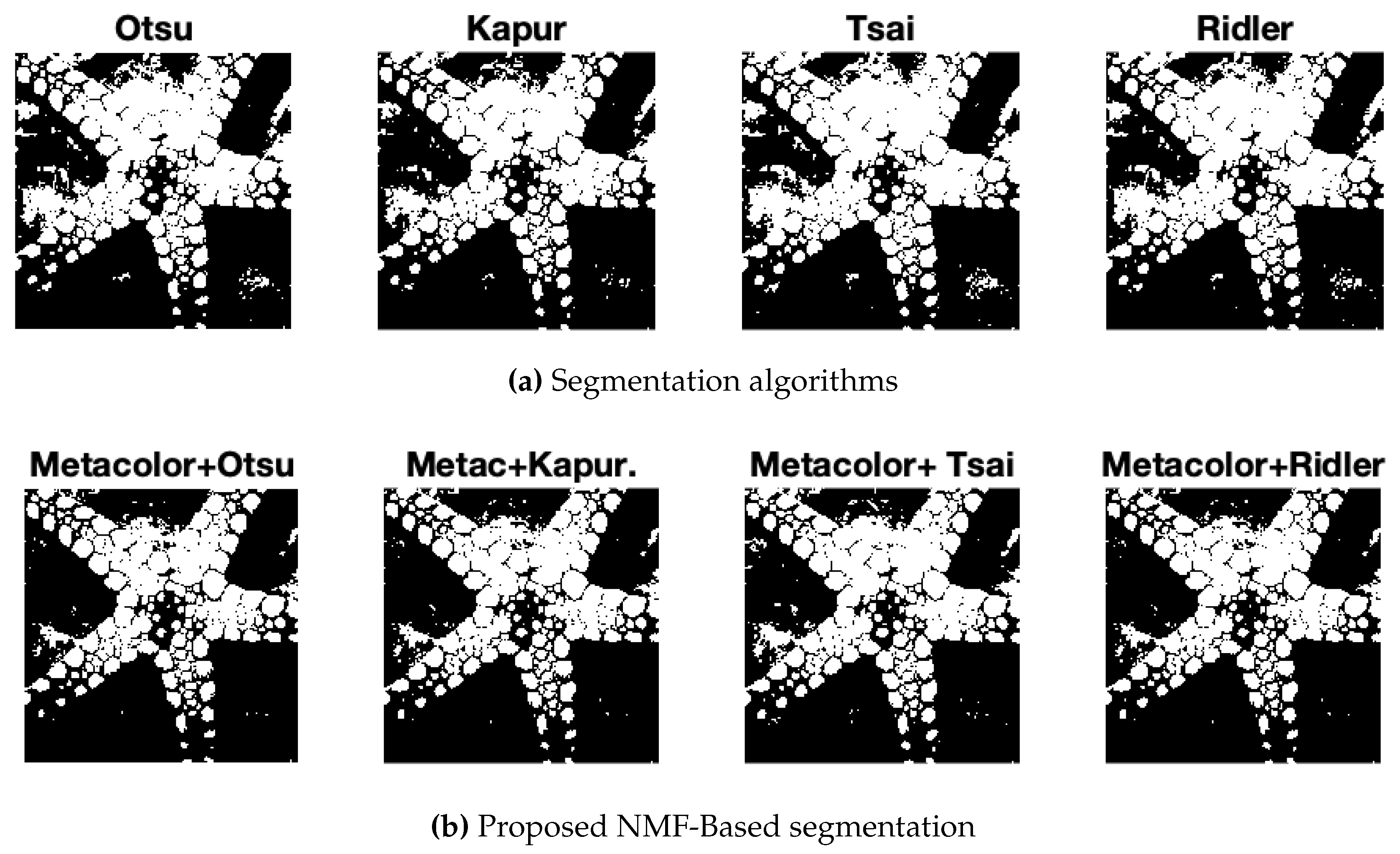 Preprints 98012 g008