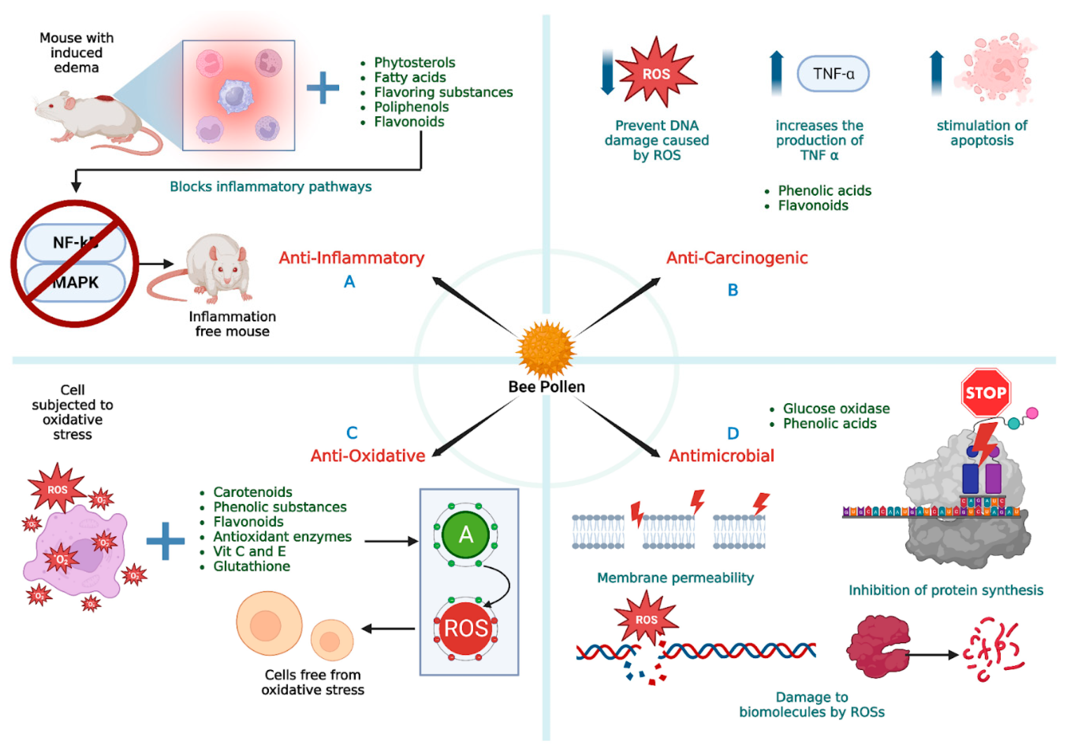 Preprints 88155 g008