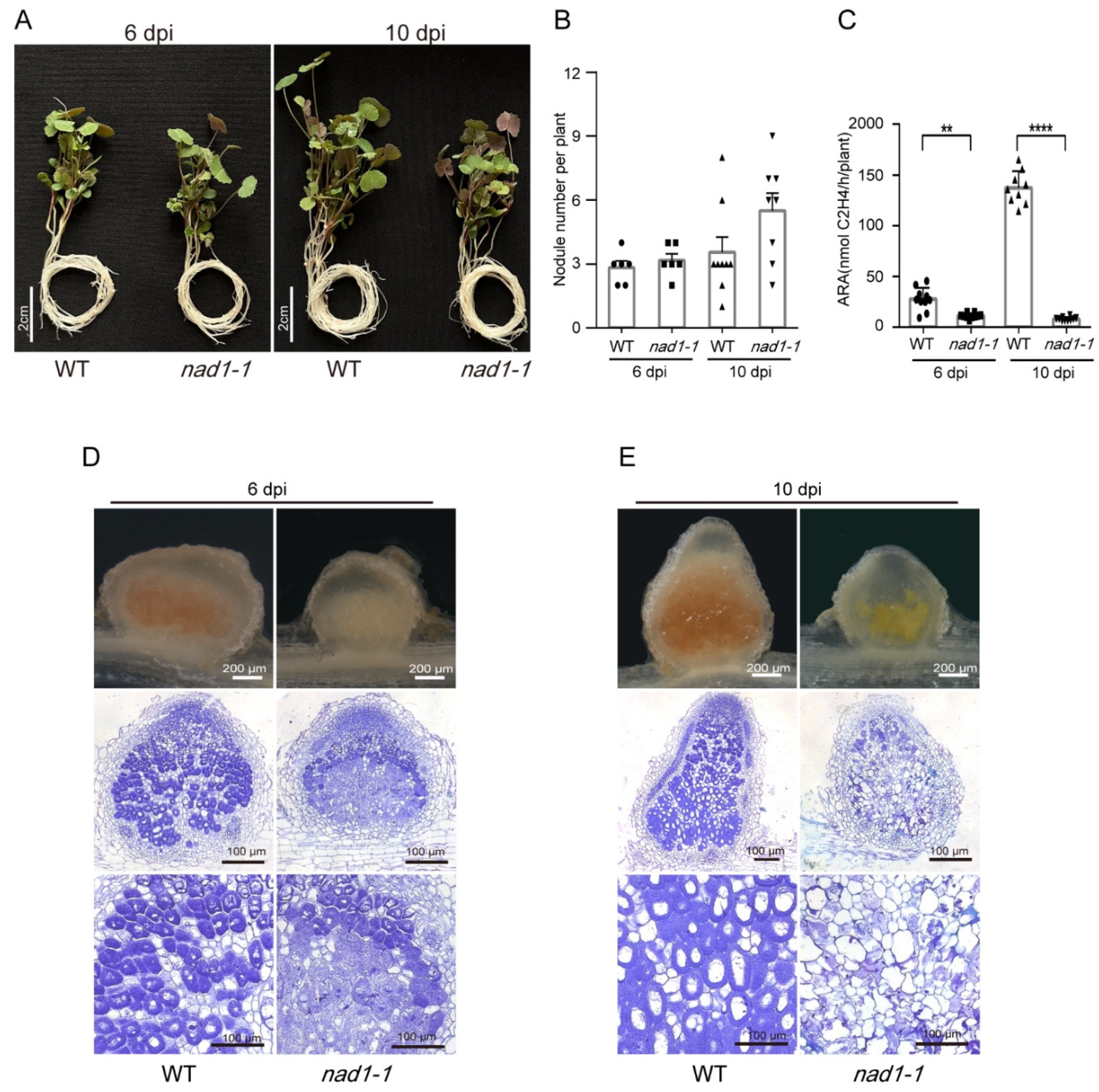 Preprints 84567 g001