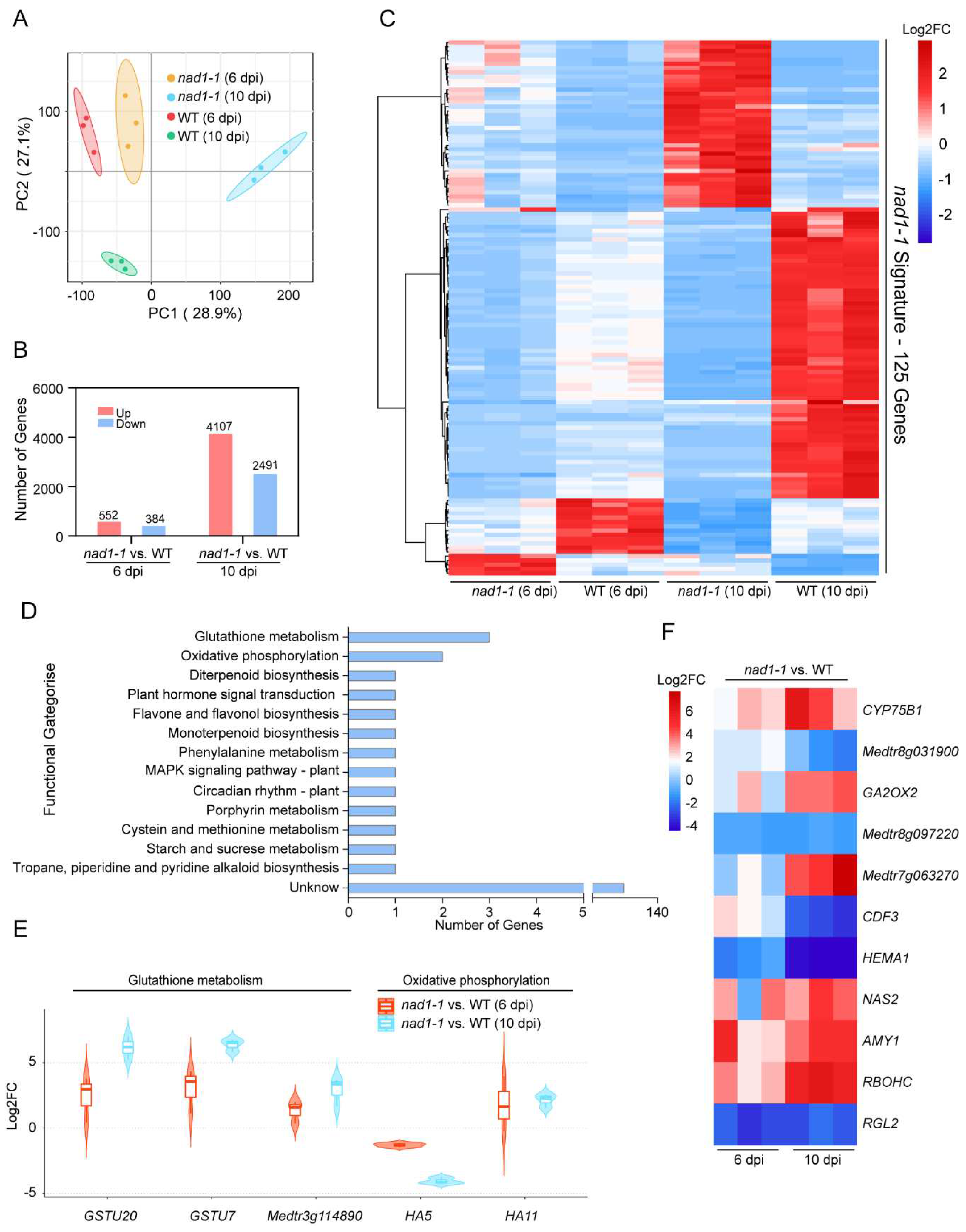 Preprints 84567 g002