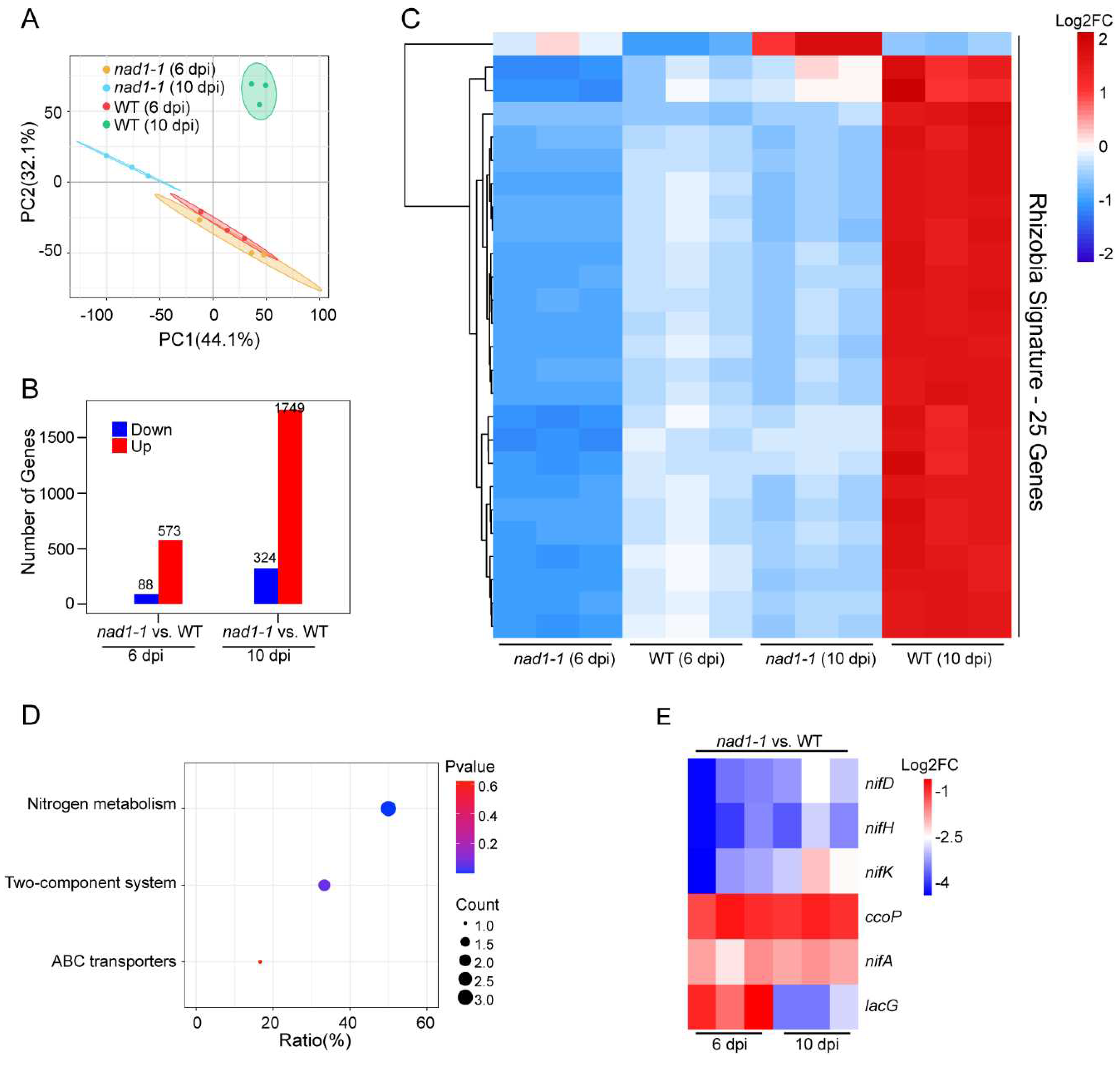 Preprints 84567 g003