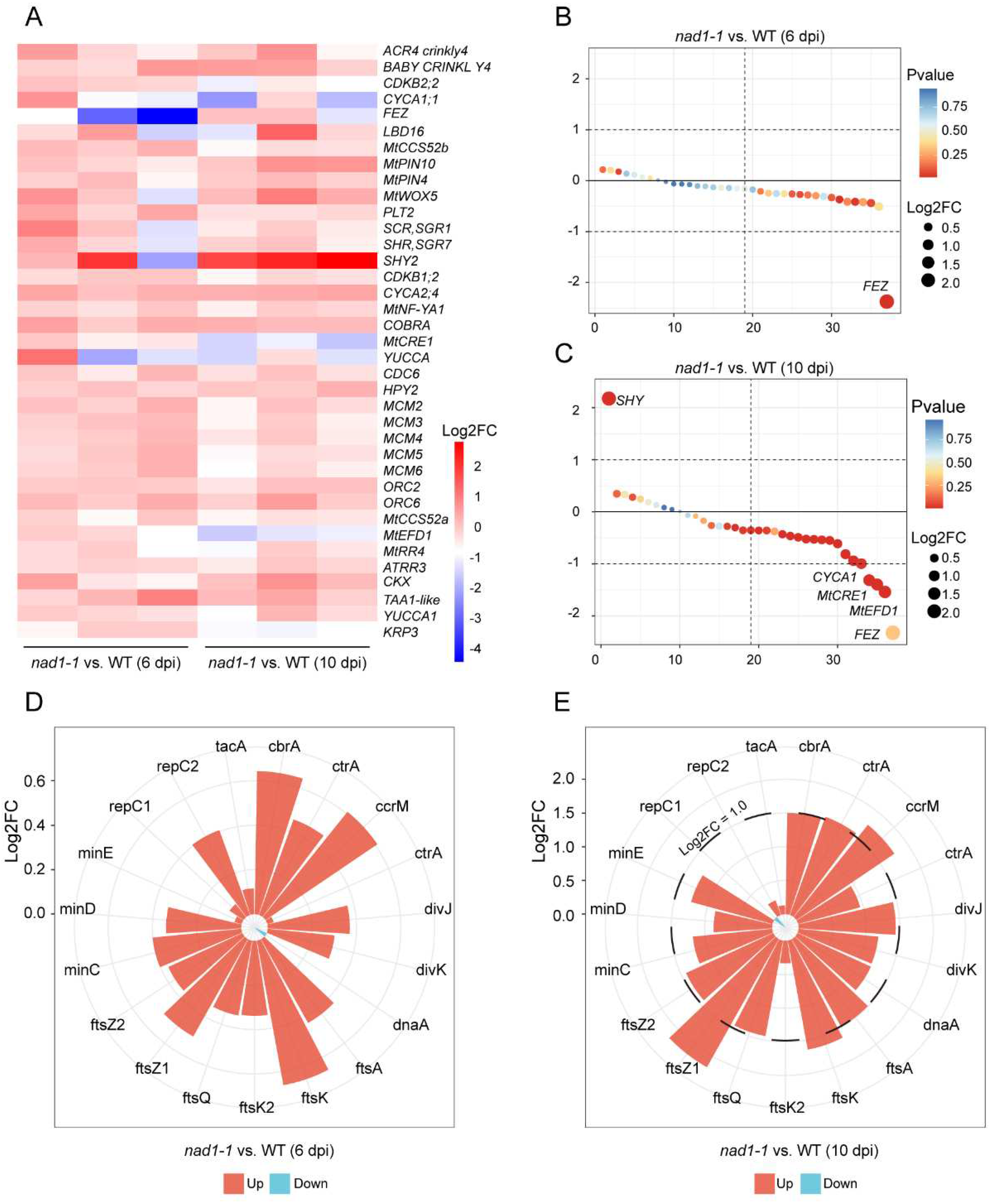 Preprints 84567 g005