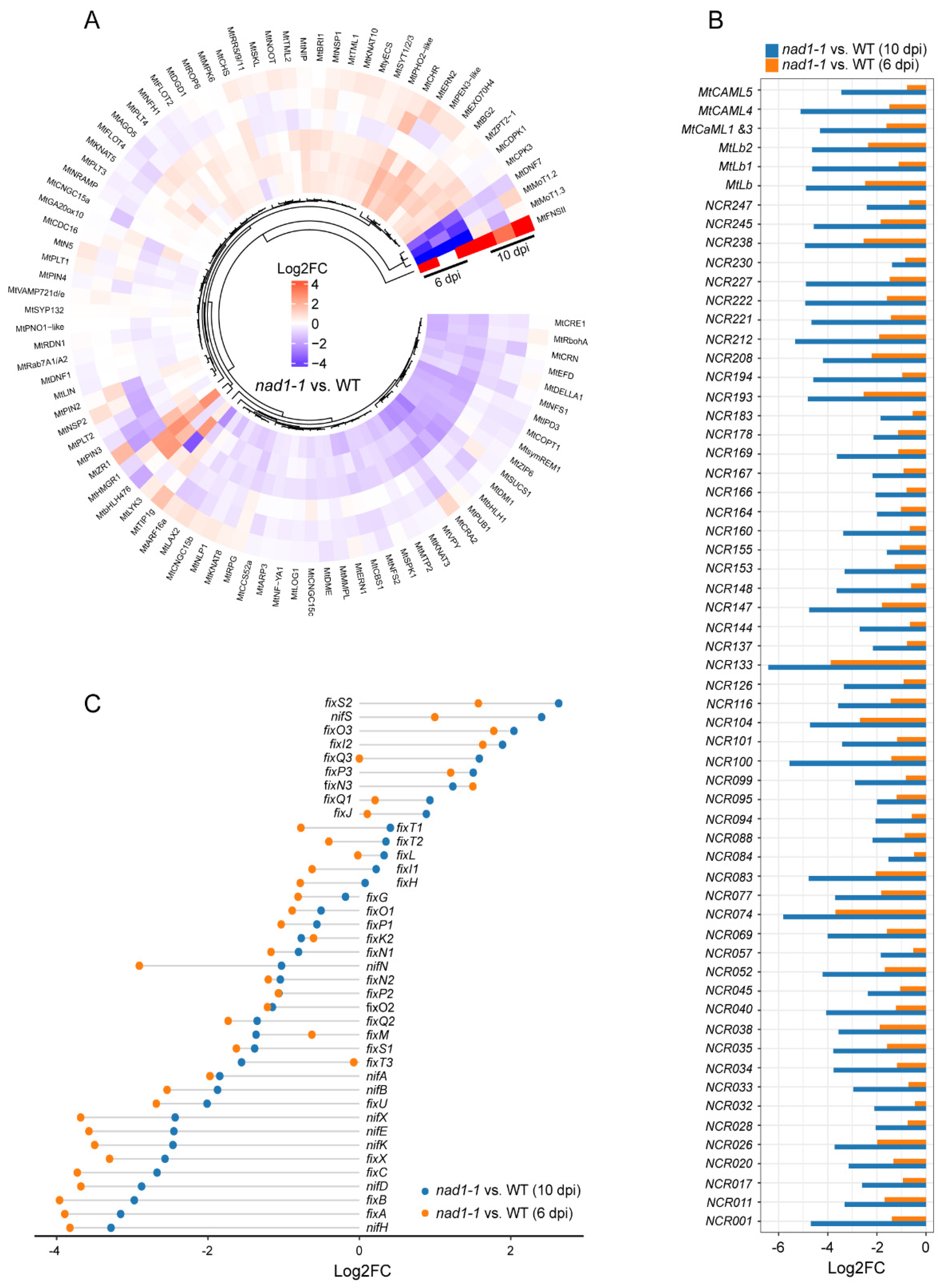 Preprints 84567 g006