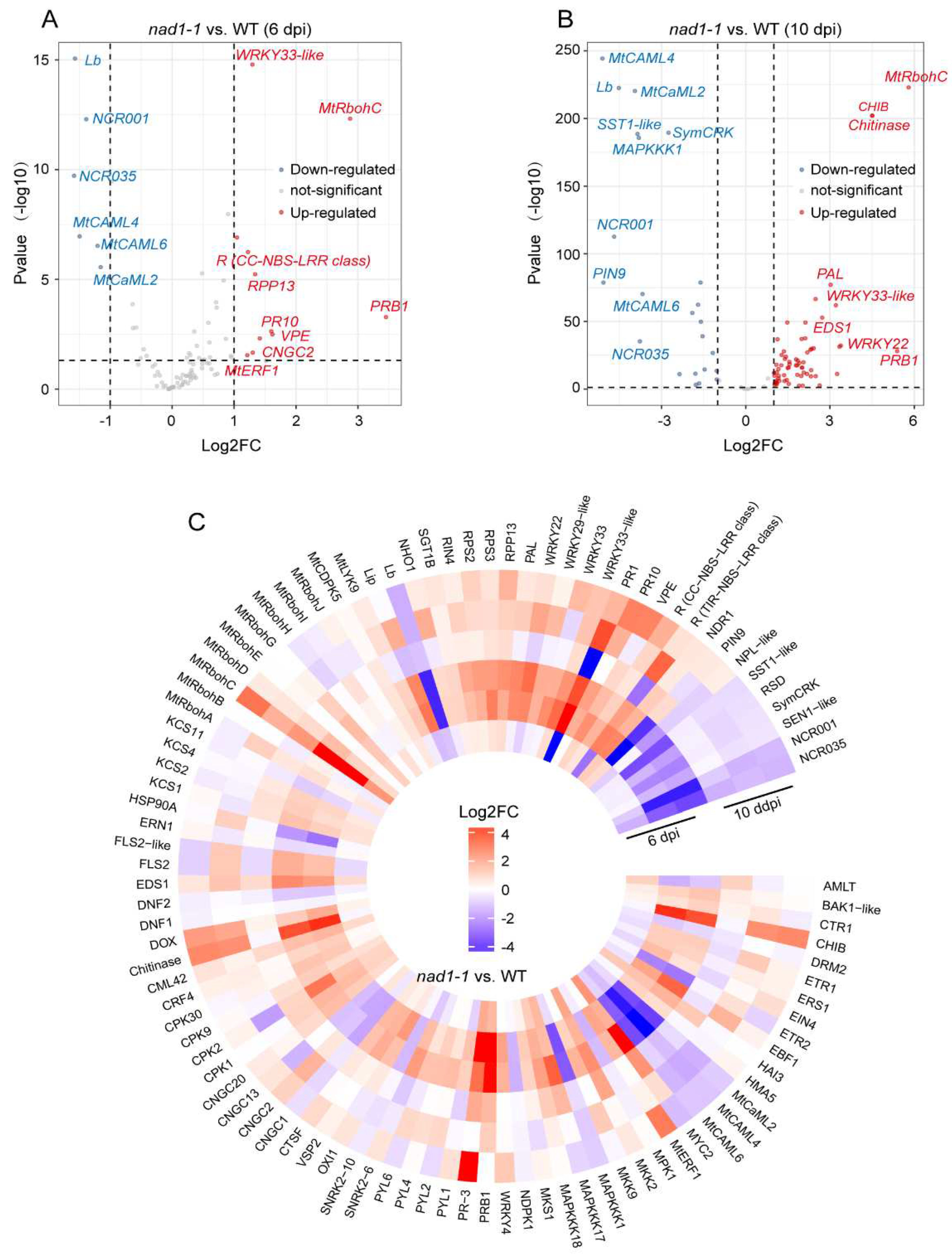 Preprints 84567 g007