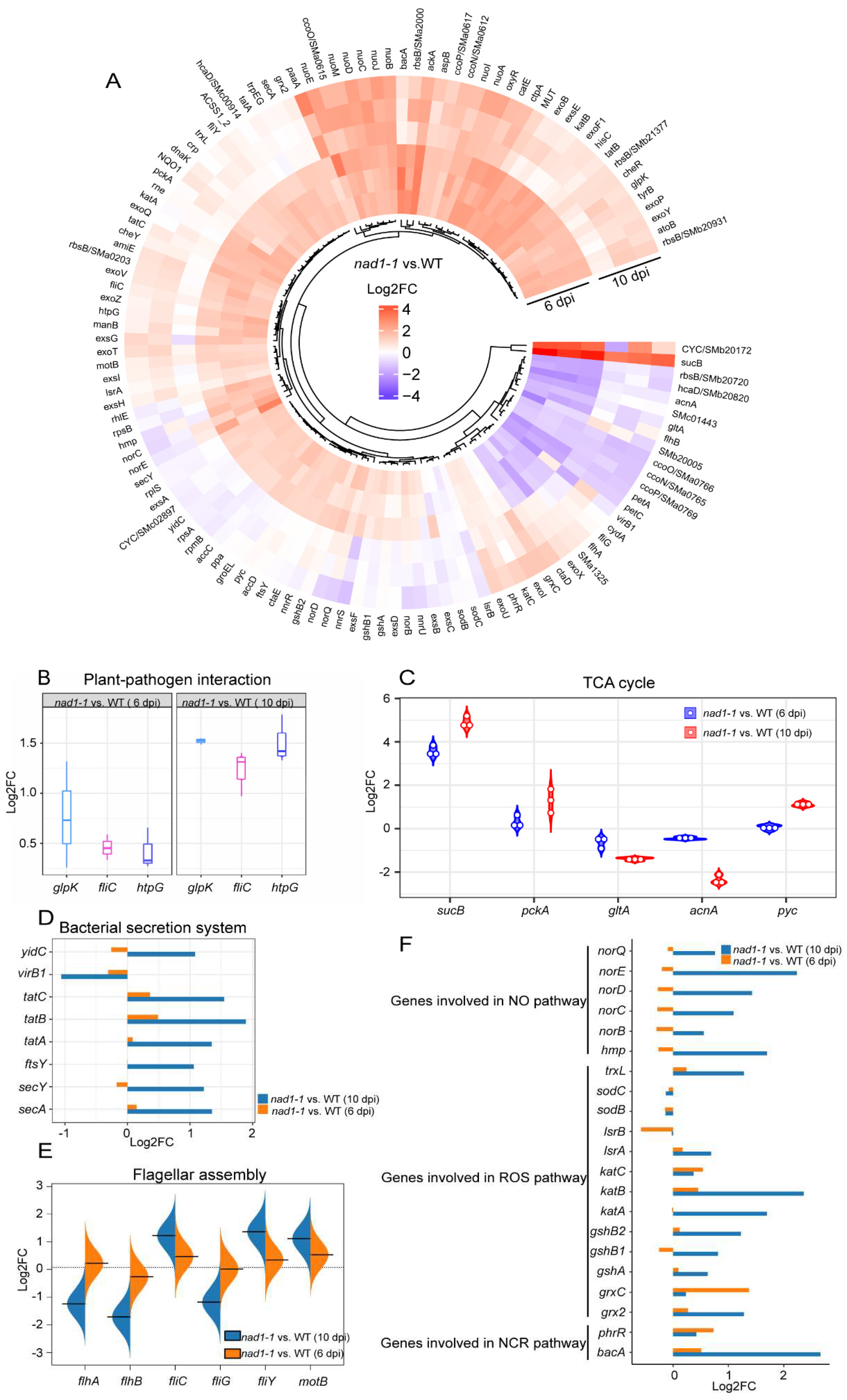 Preprints 84567 g008