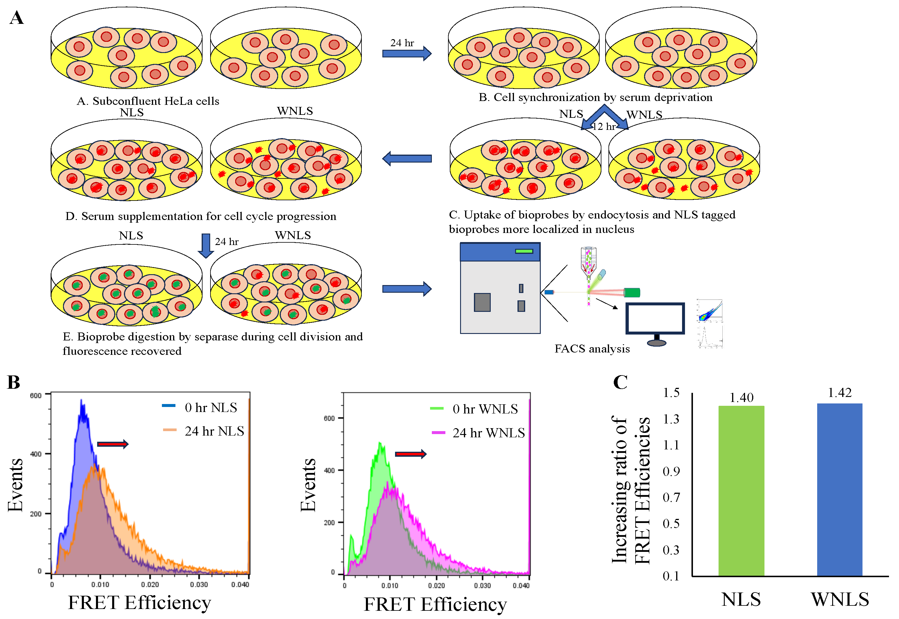 Preprints 99036 g005