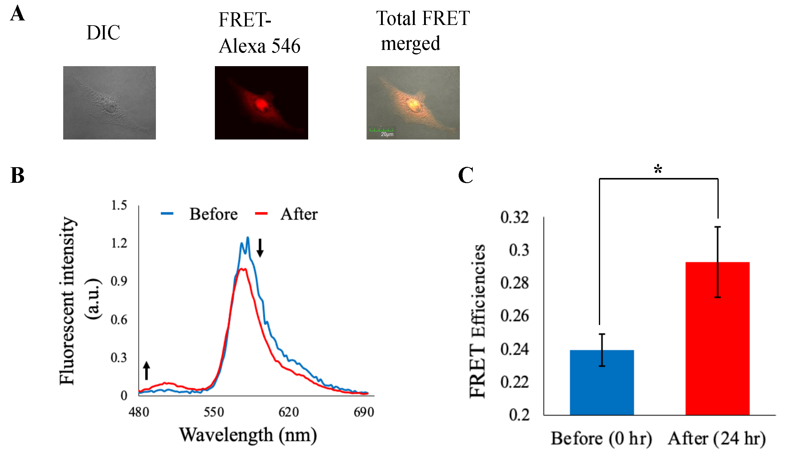 Preprints 99036 g006