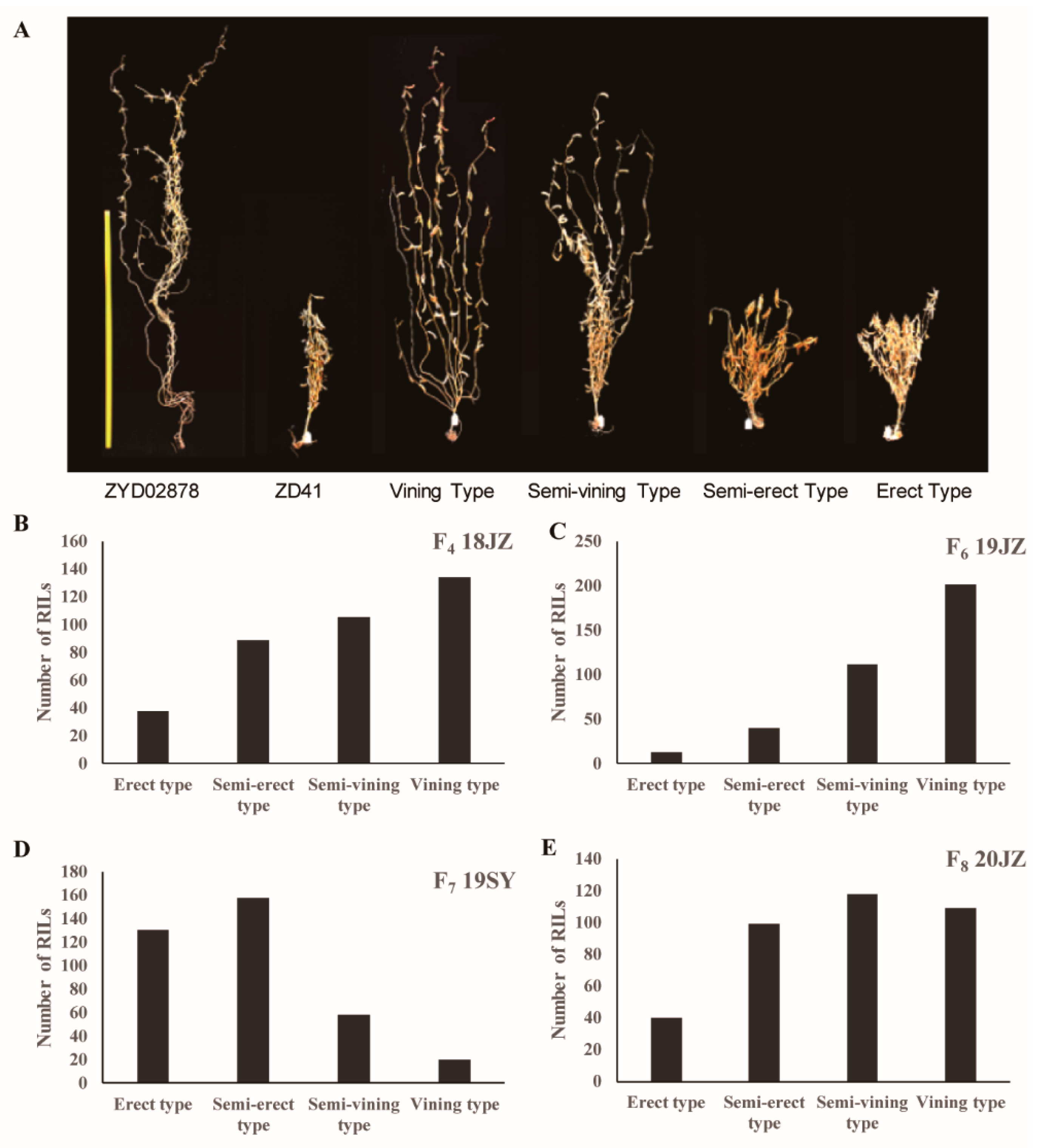 Preprints 83670 g001