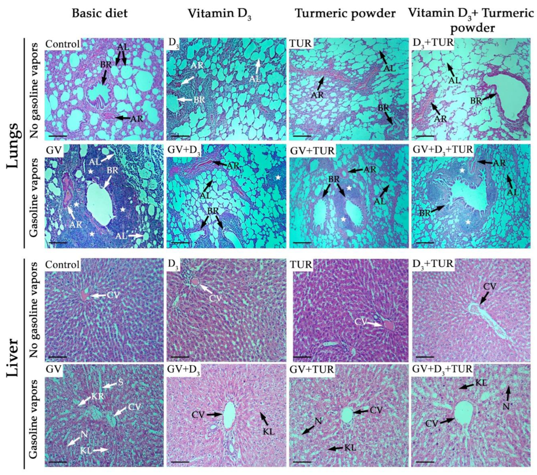 Preprints 91439 g003