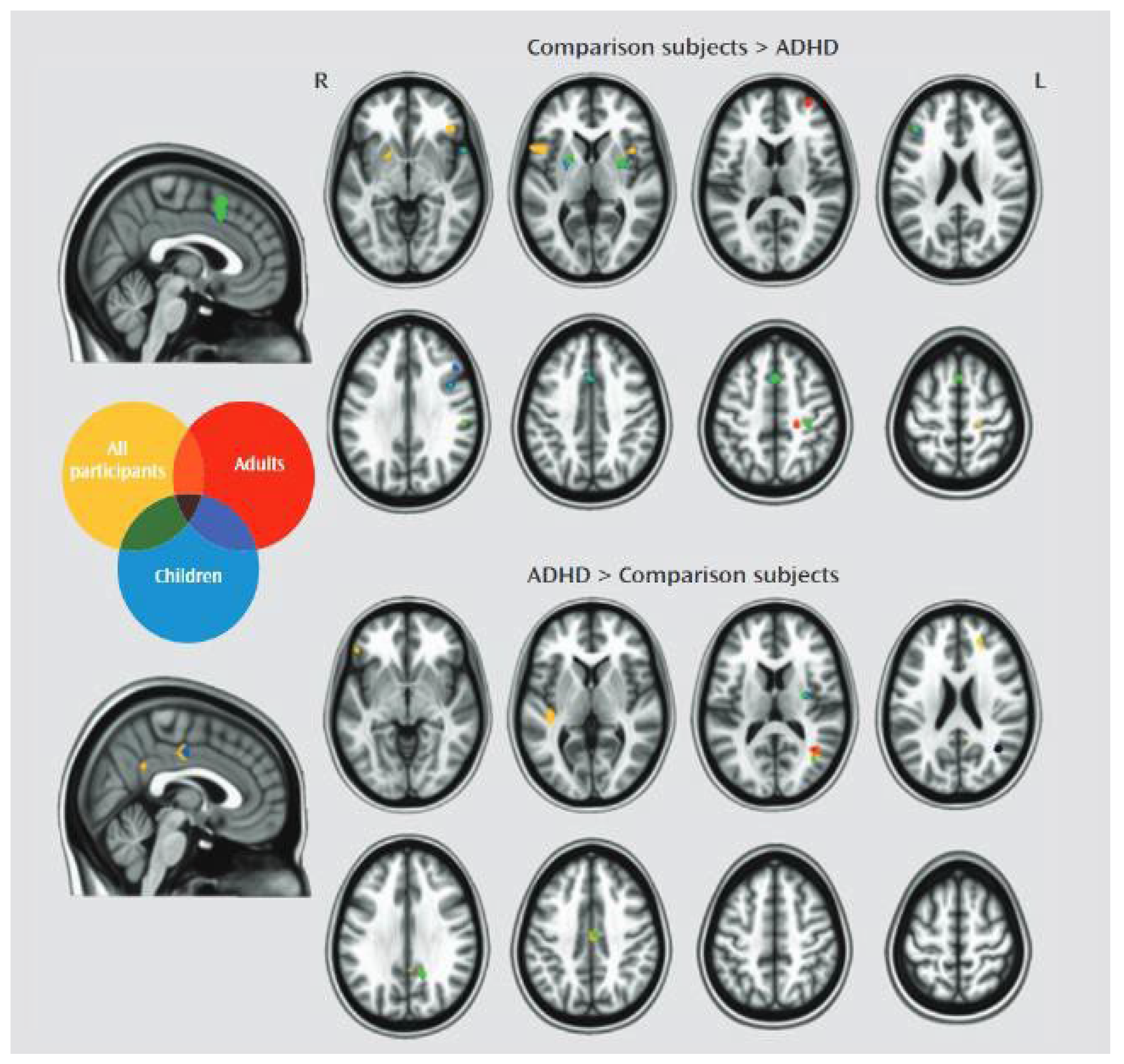 Preprints 116378 g001