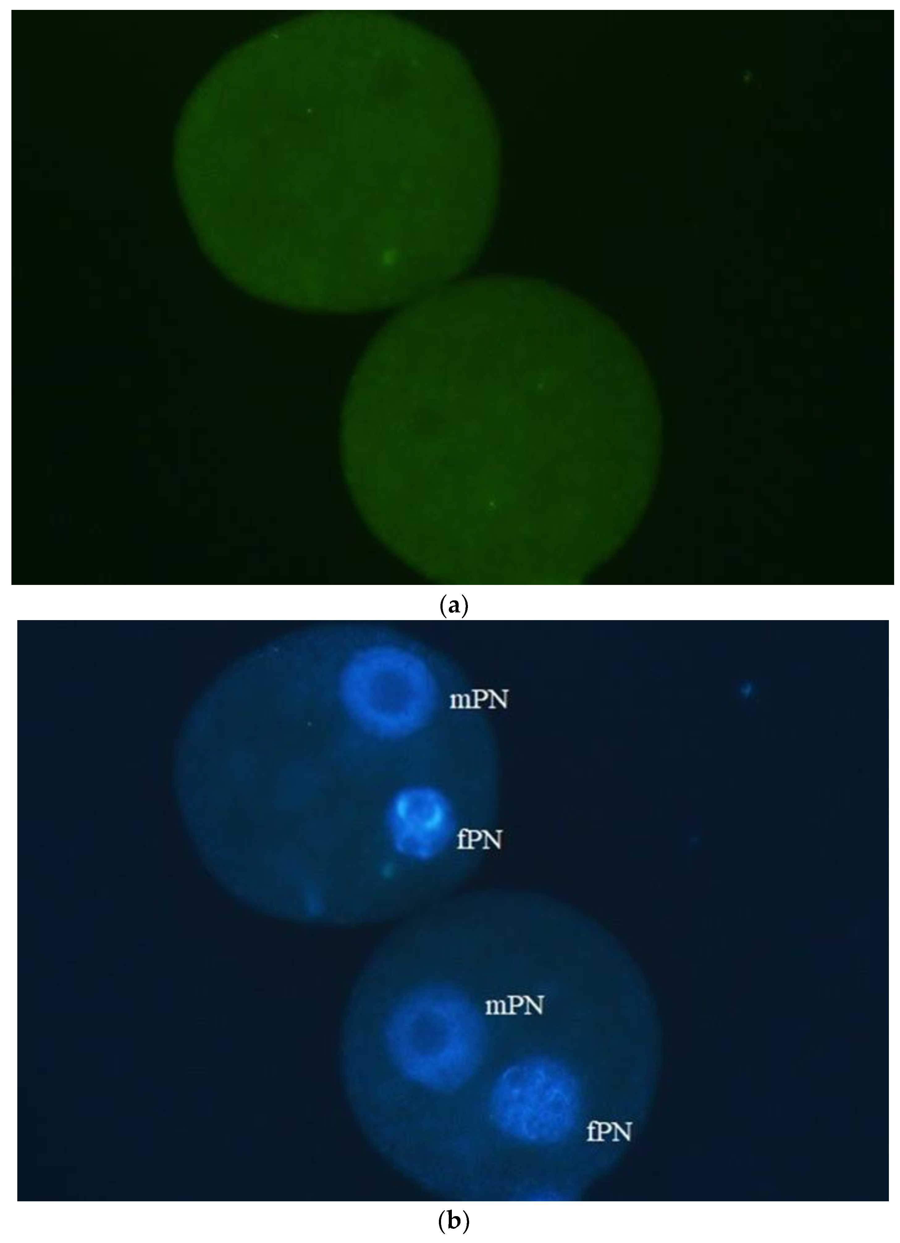 Preprints 104274 g003