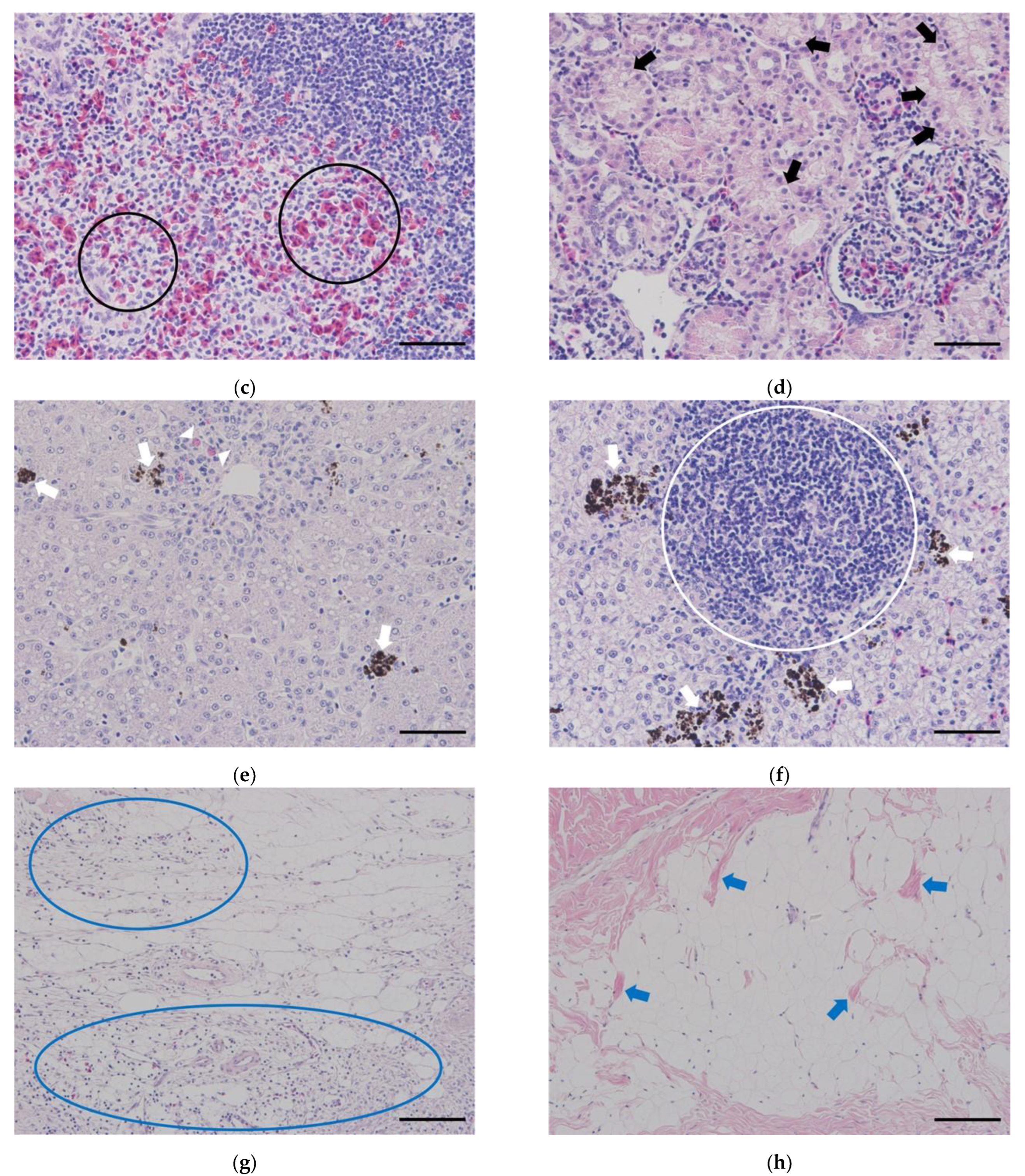 Preprints 73569 g004b