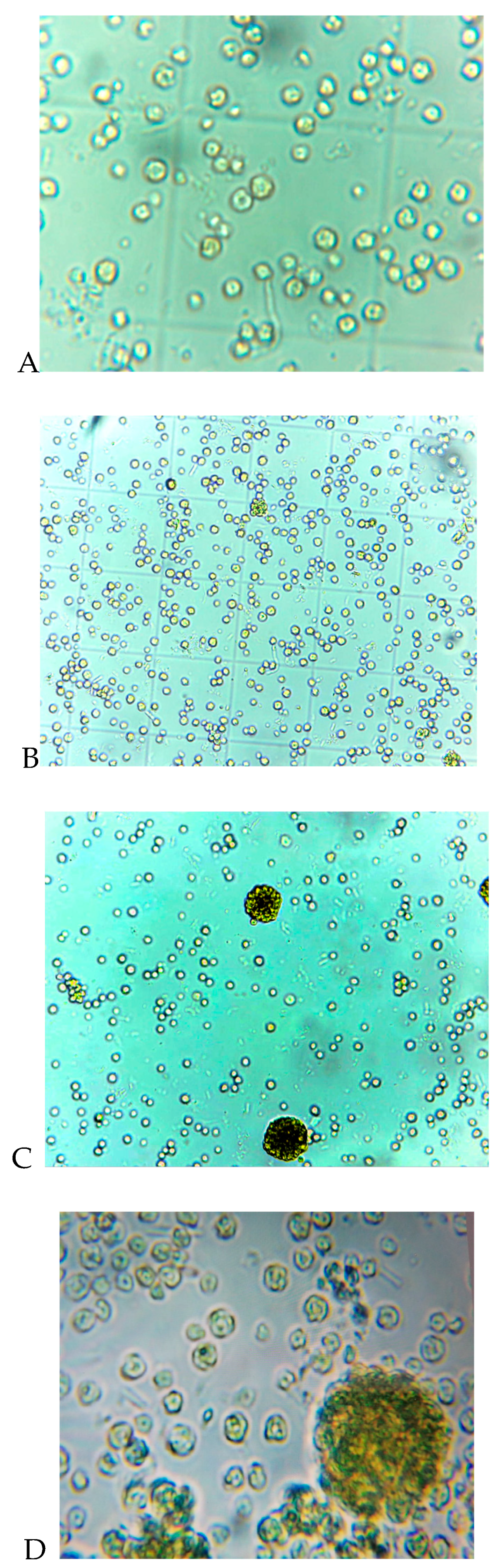 Preprints 90045 g004