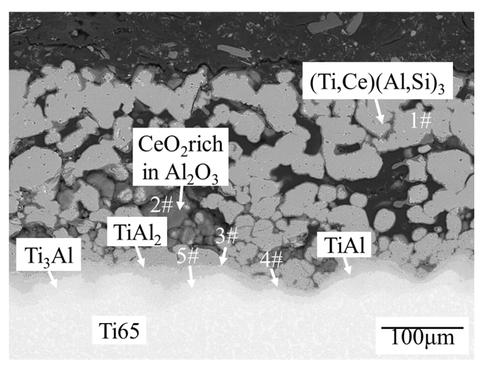 Preprints 77431 g004