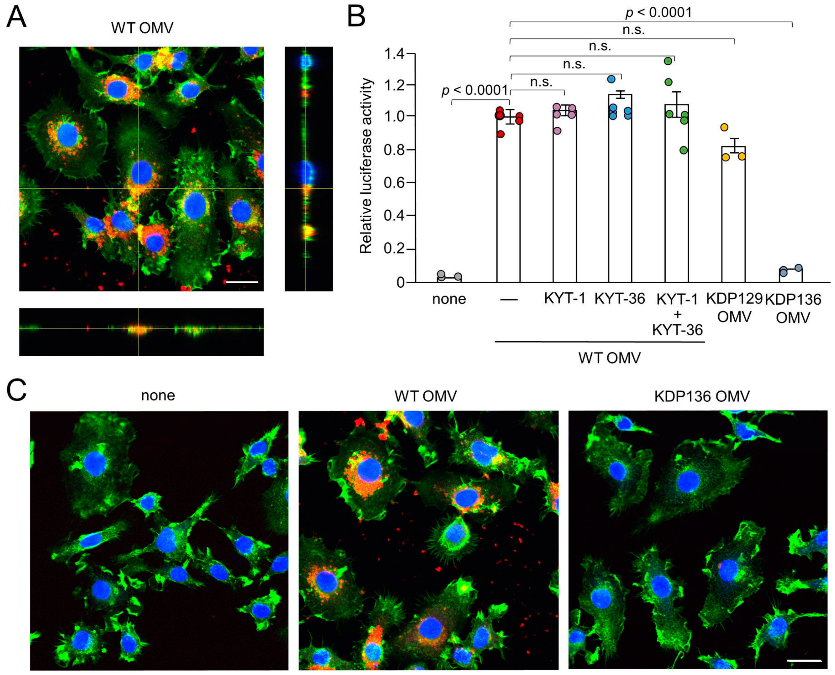 Preprints 94483 g002