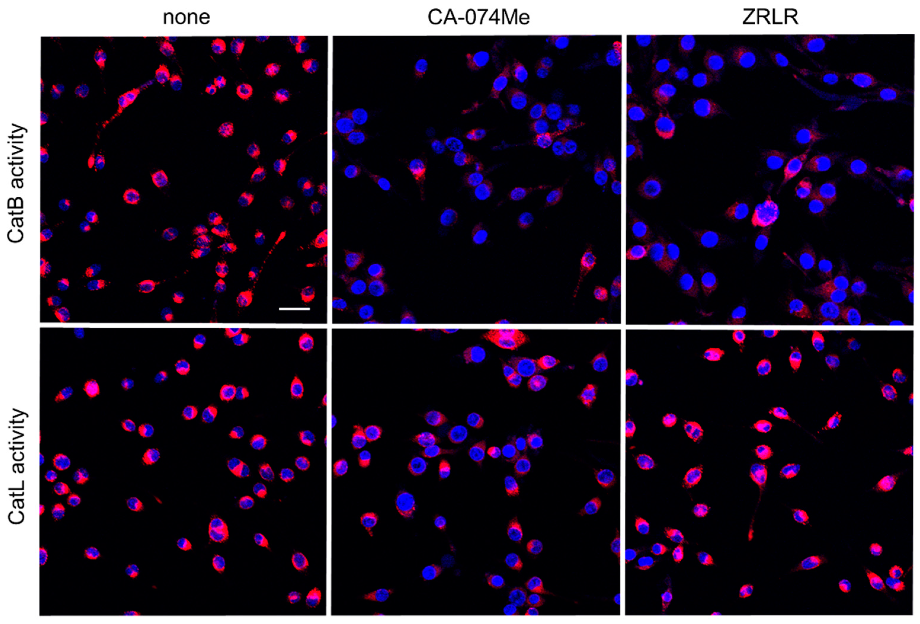 Preprints 94483 g004