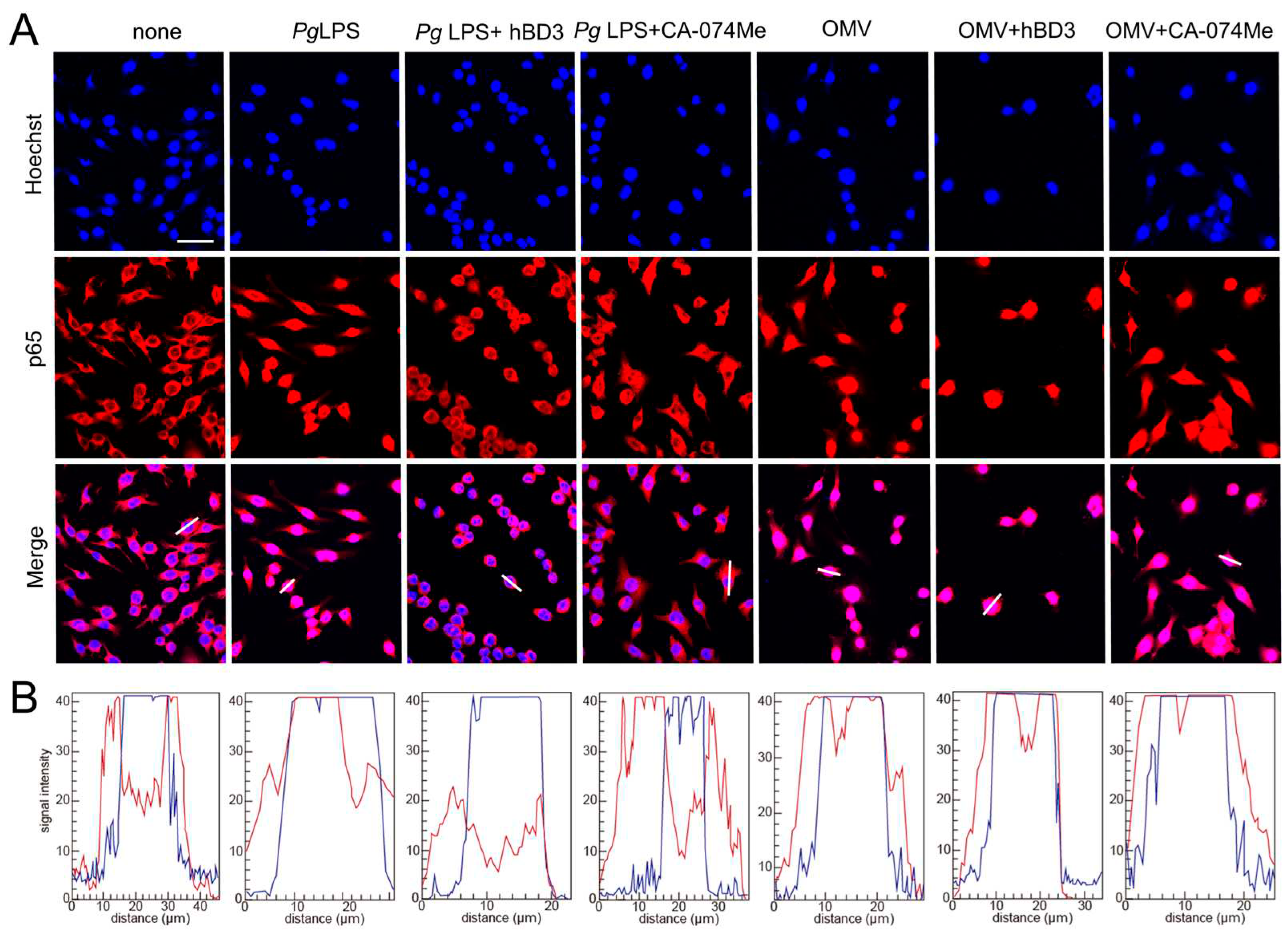 Preprints 94483 g005