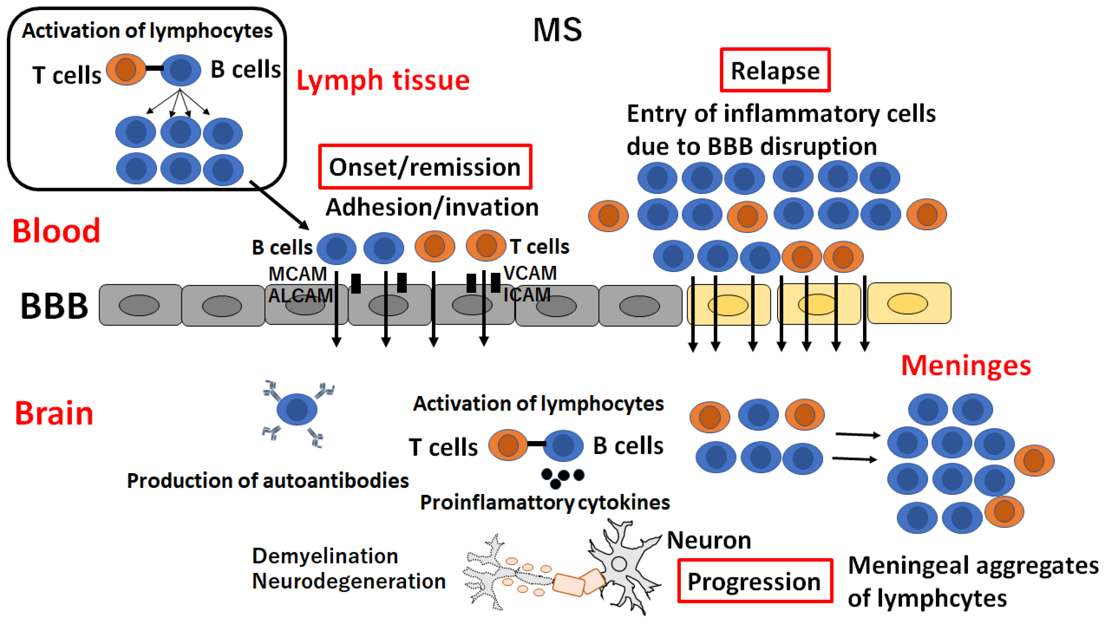 Preprints 115332 g002