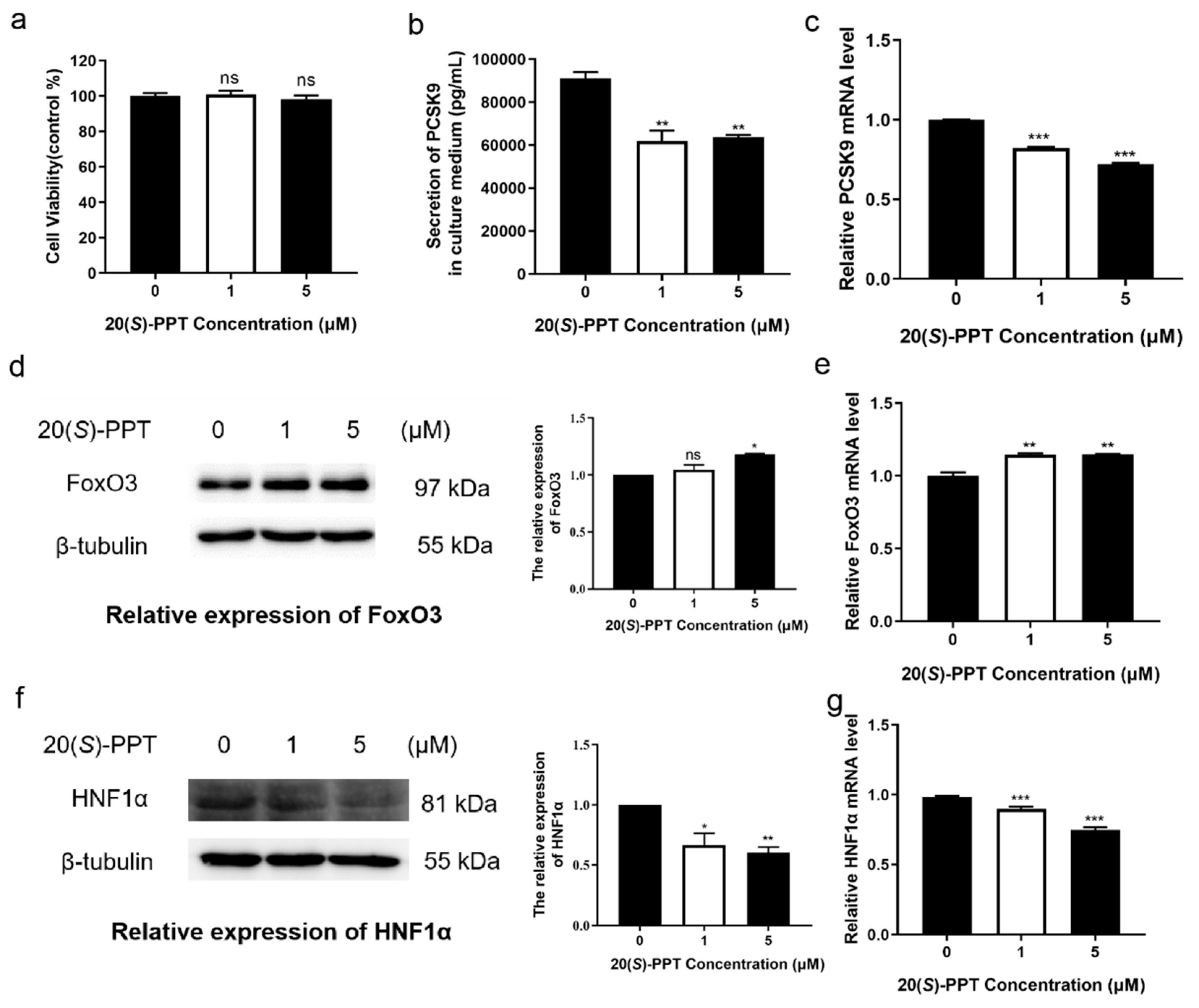 Preprints 74203 g001