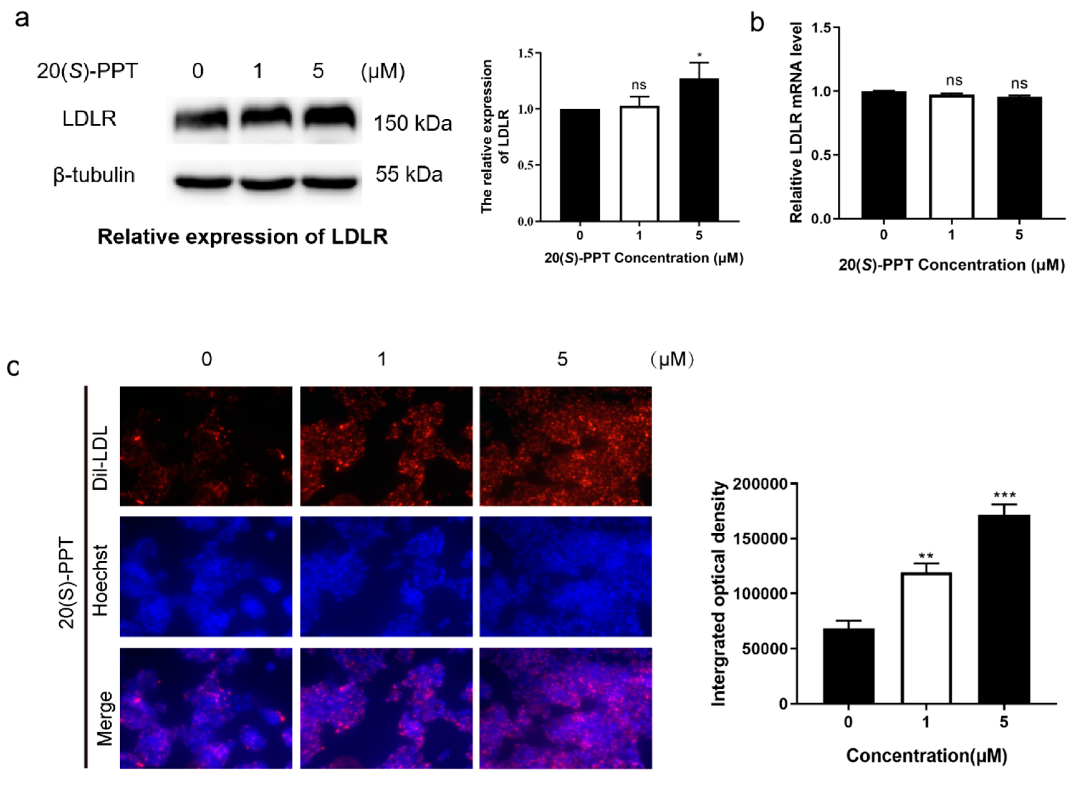 Preprints 74203 g002