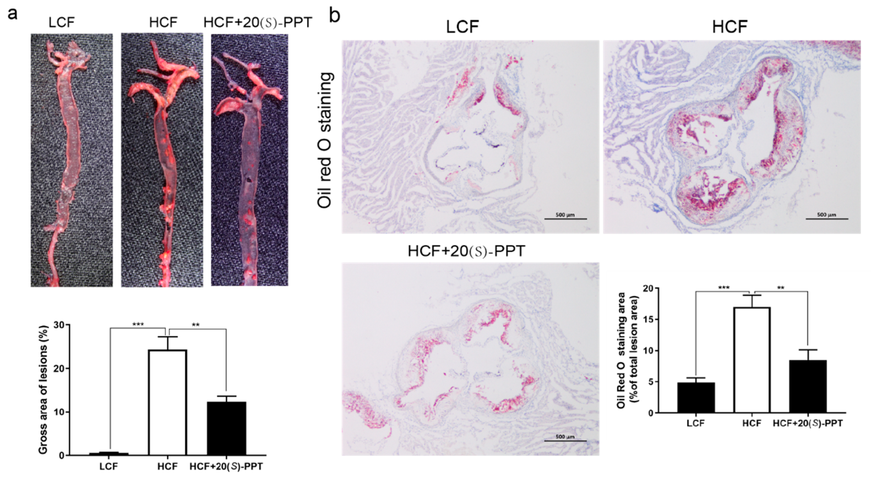 Preprints 74203 g003