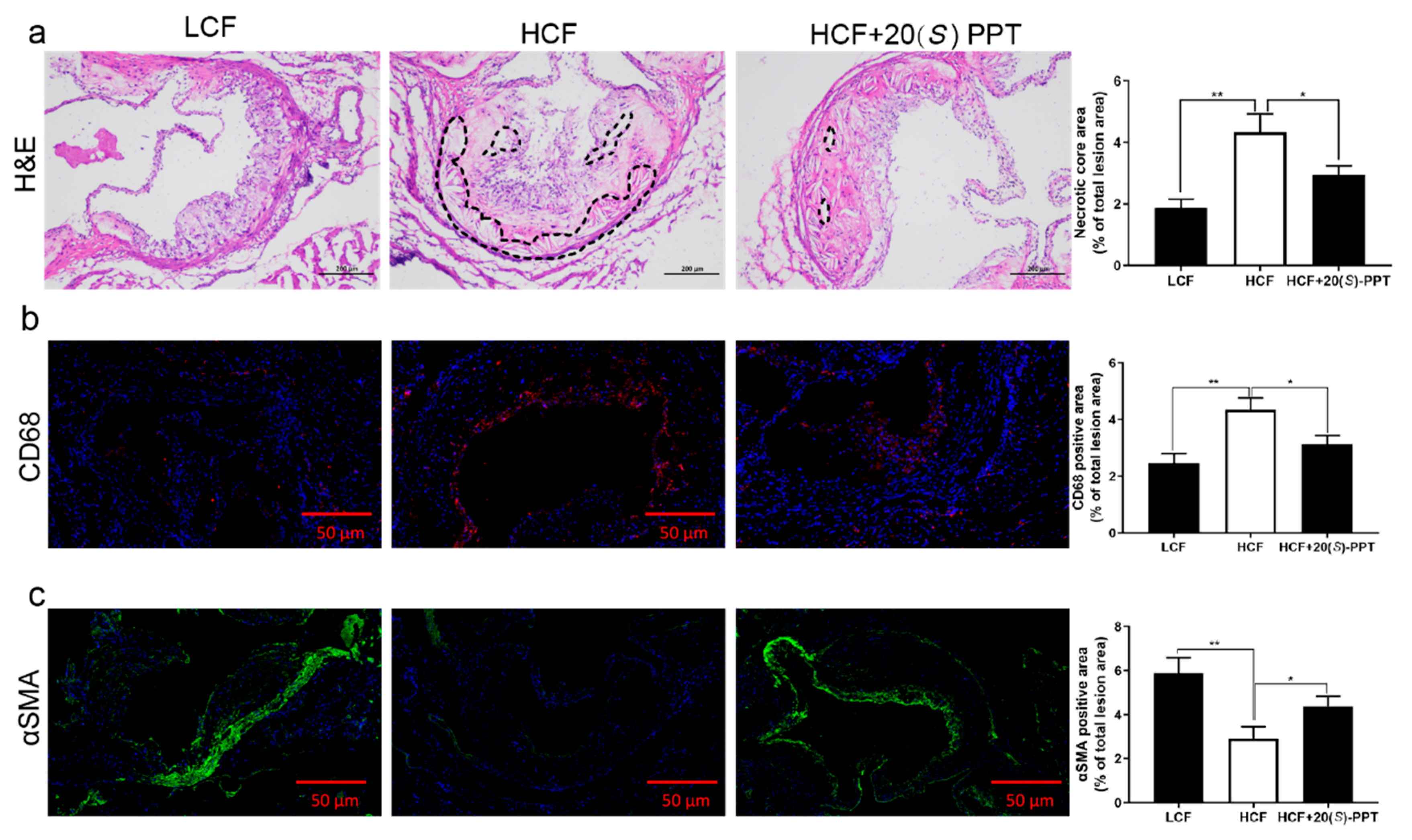 Preprints 74203 g004