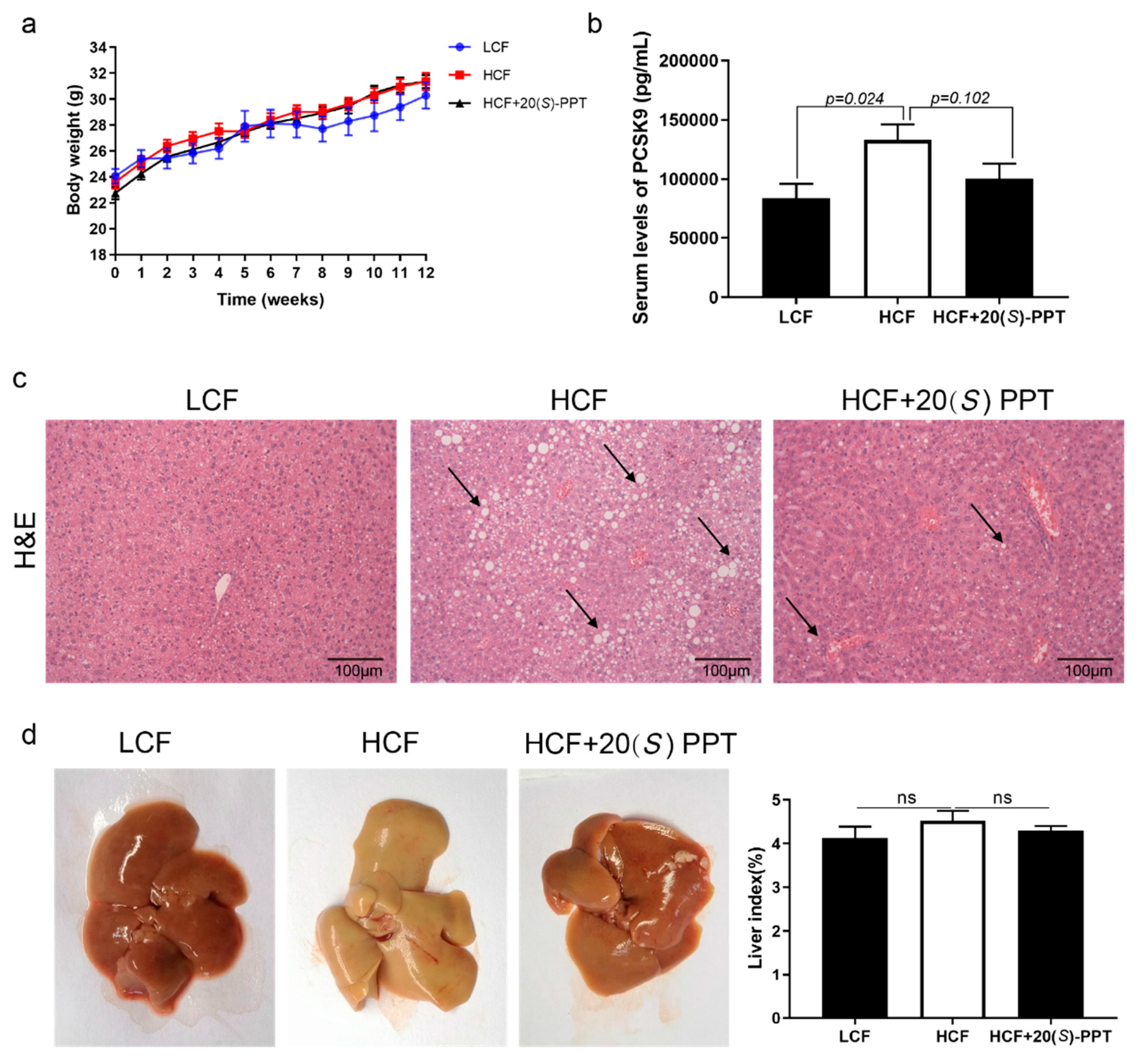 Preprints 74203 g005