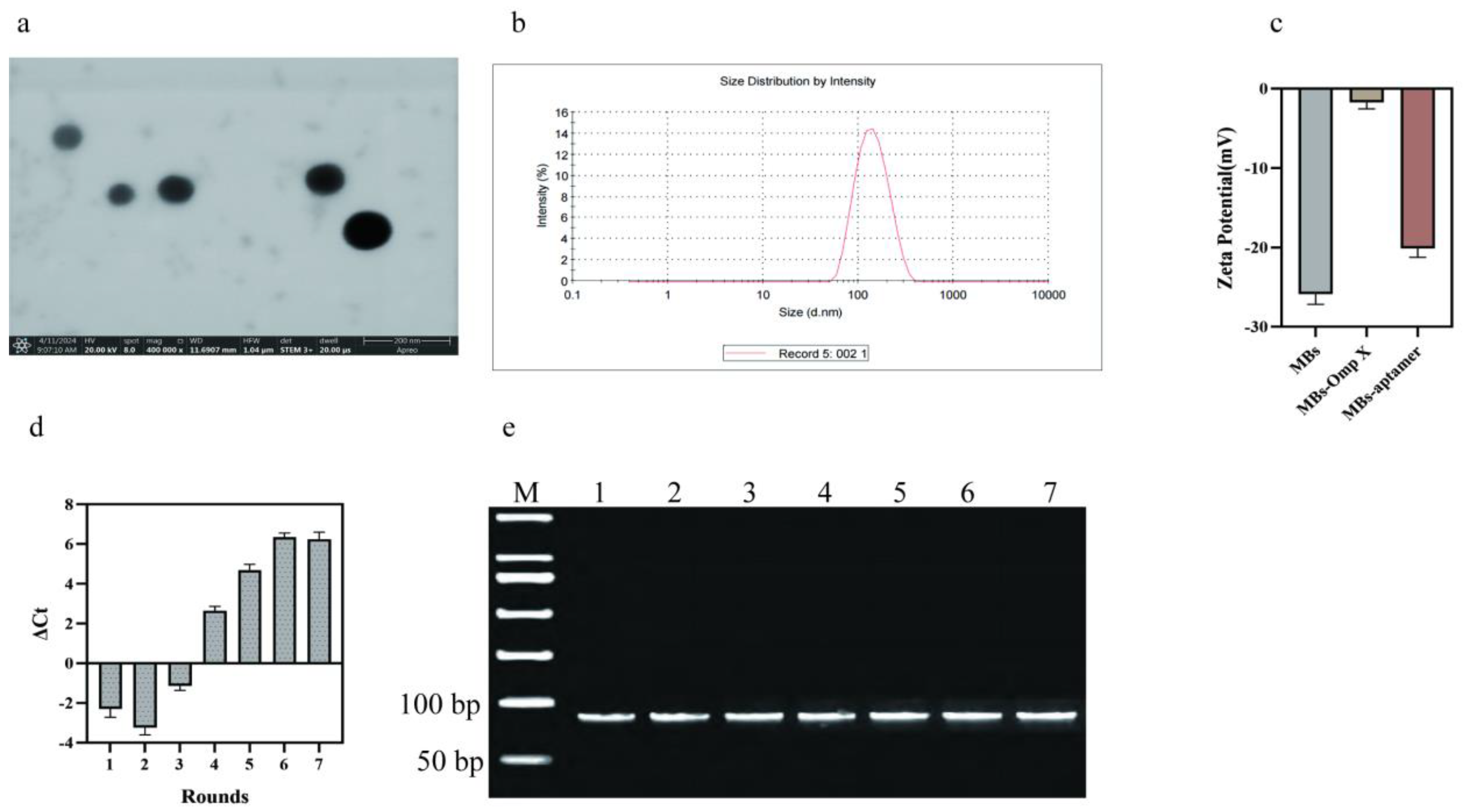 Preprints 111731 g002