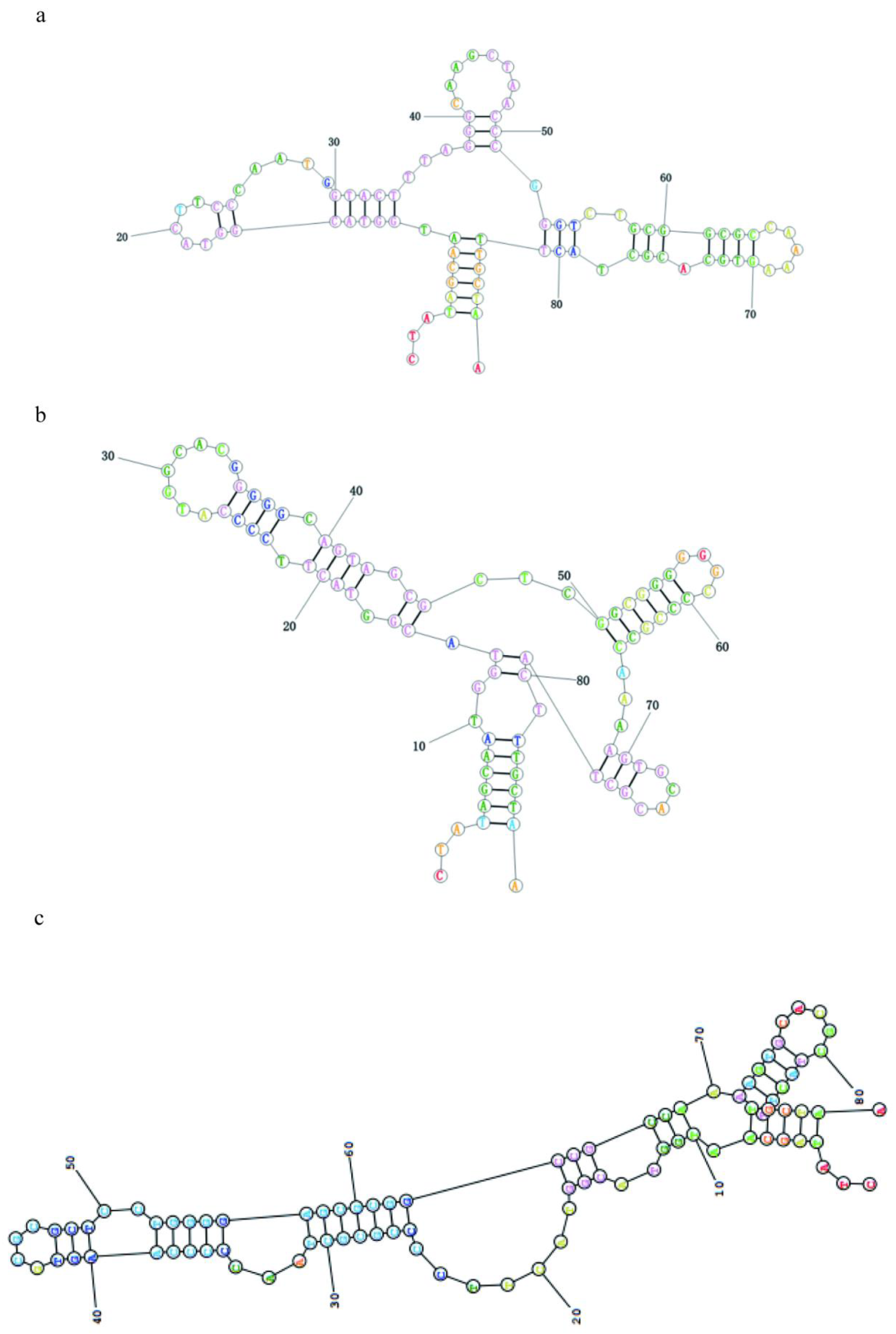 Preprints 111731 g003a