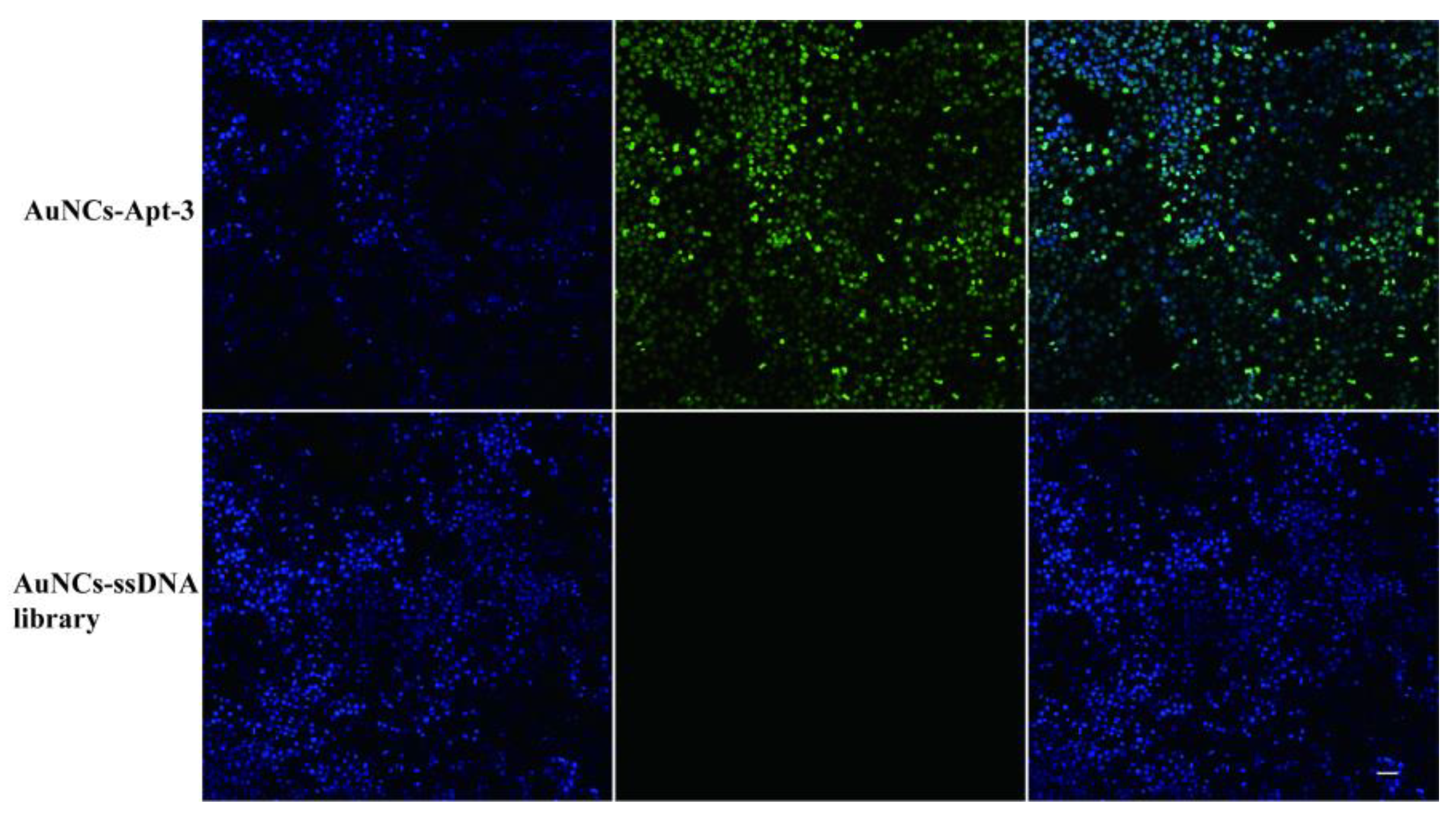 Preprints 111731 g006