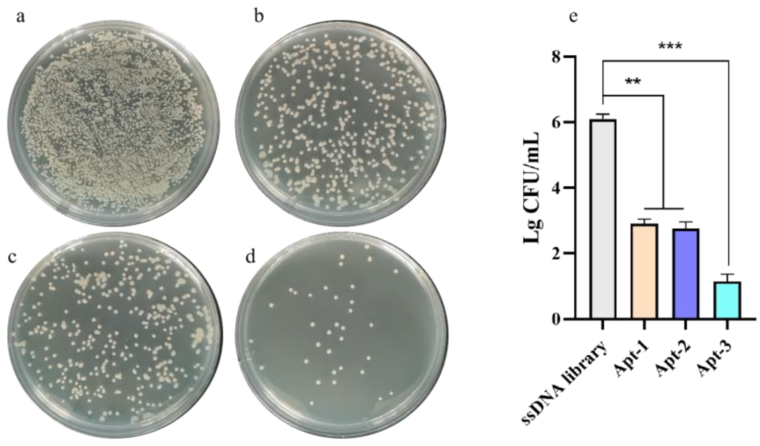 Preprints 111731 g007