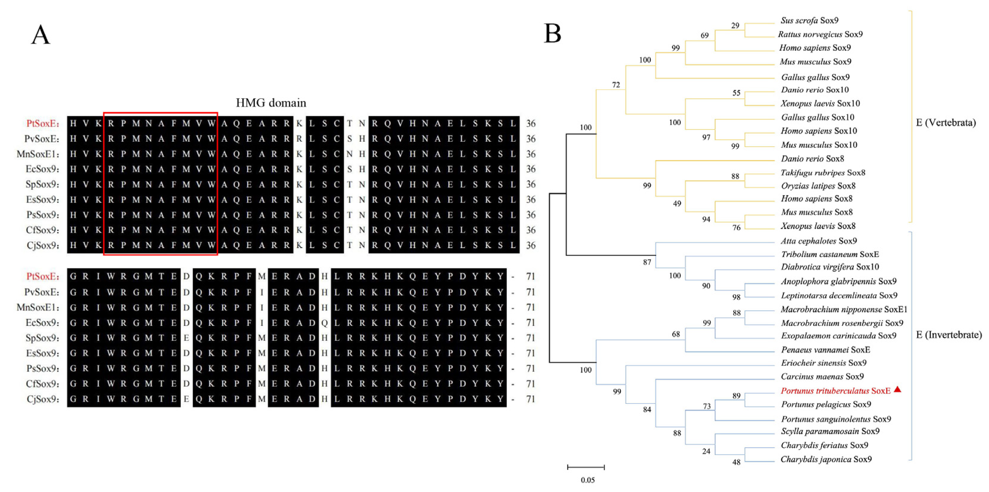 Preprints 77852 g001