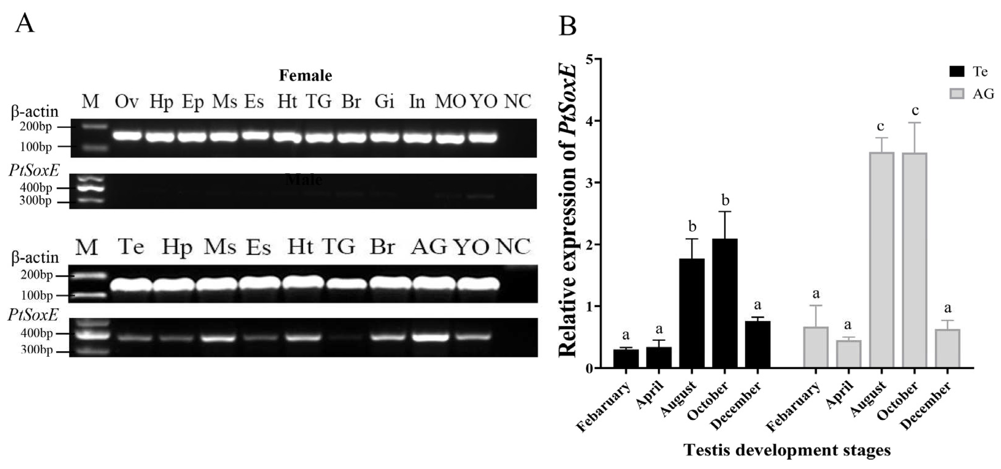 Preprints 77852 g002