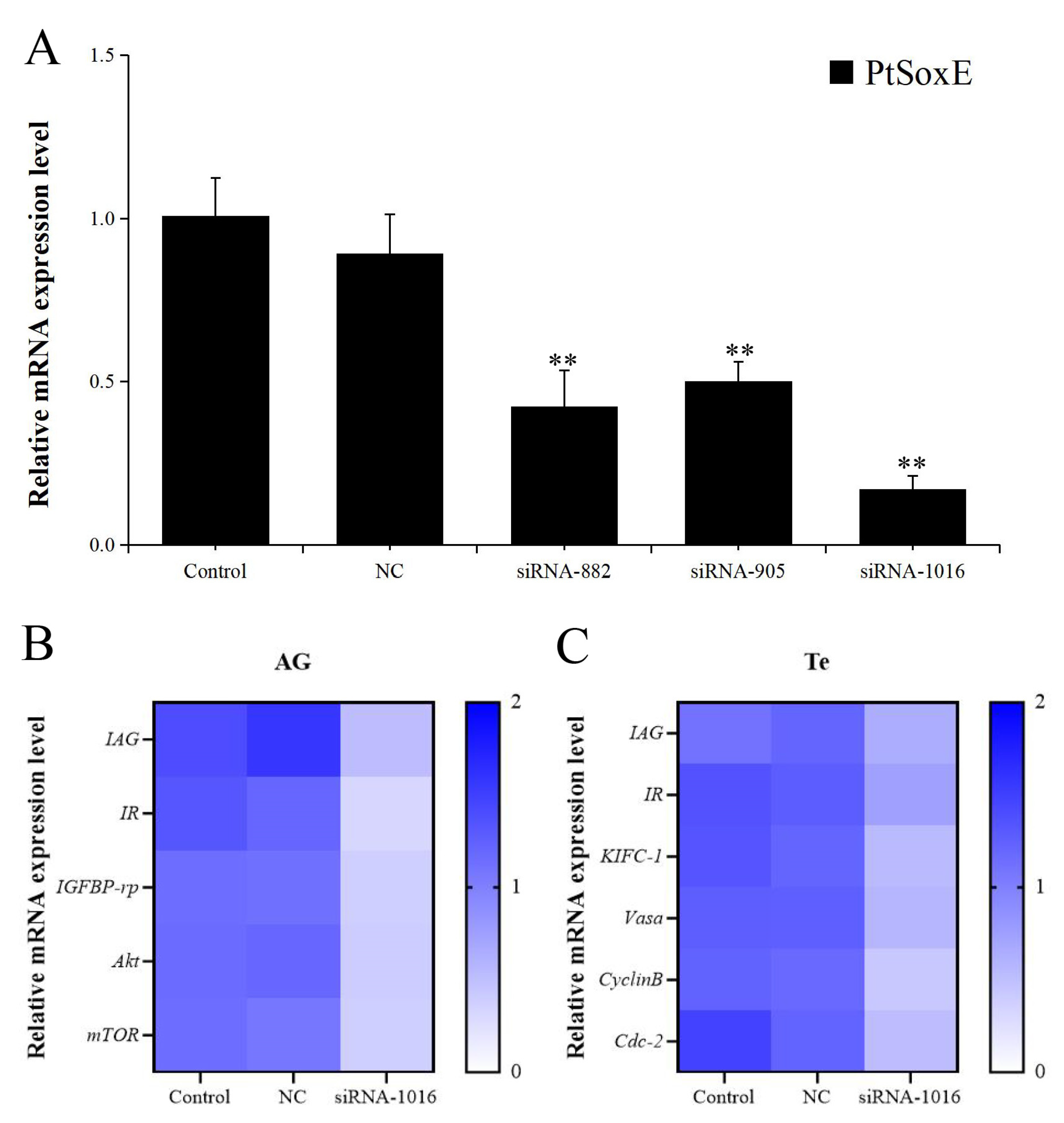 Preprints 77852 g004