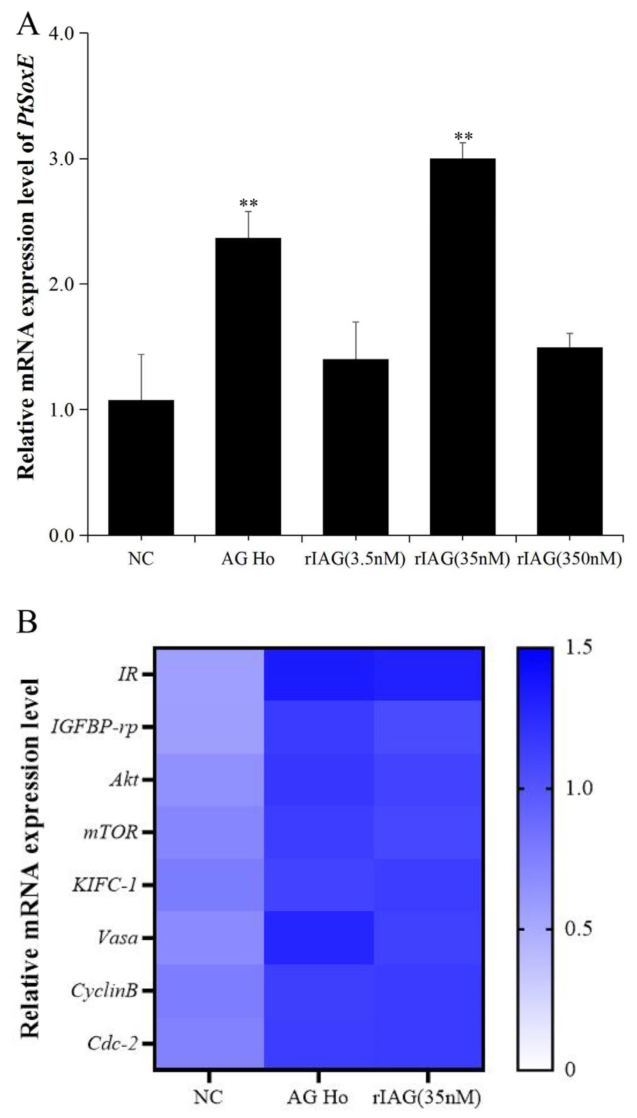 Preprints 77852 g005