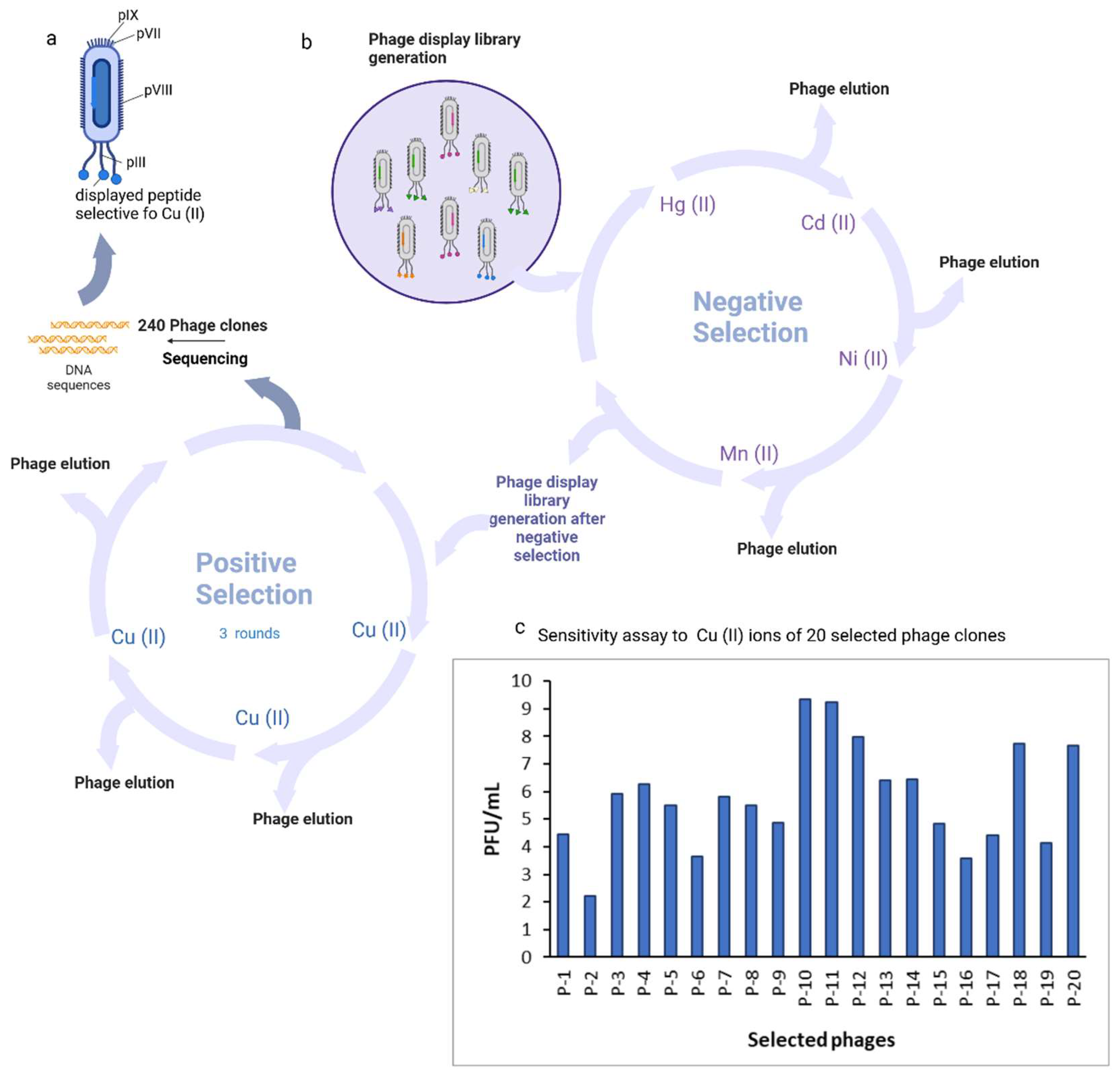 Preprints 119554 g001