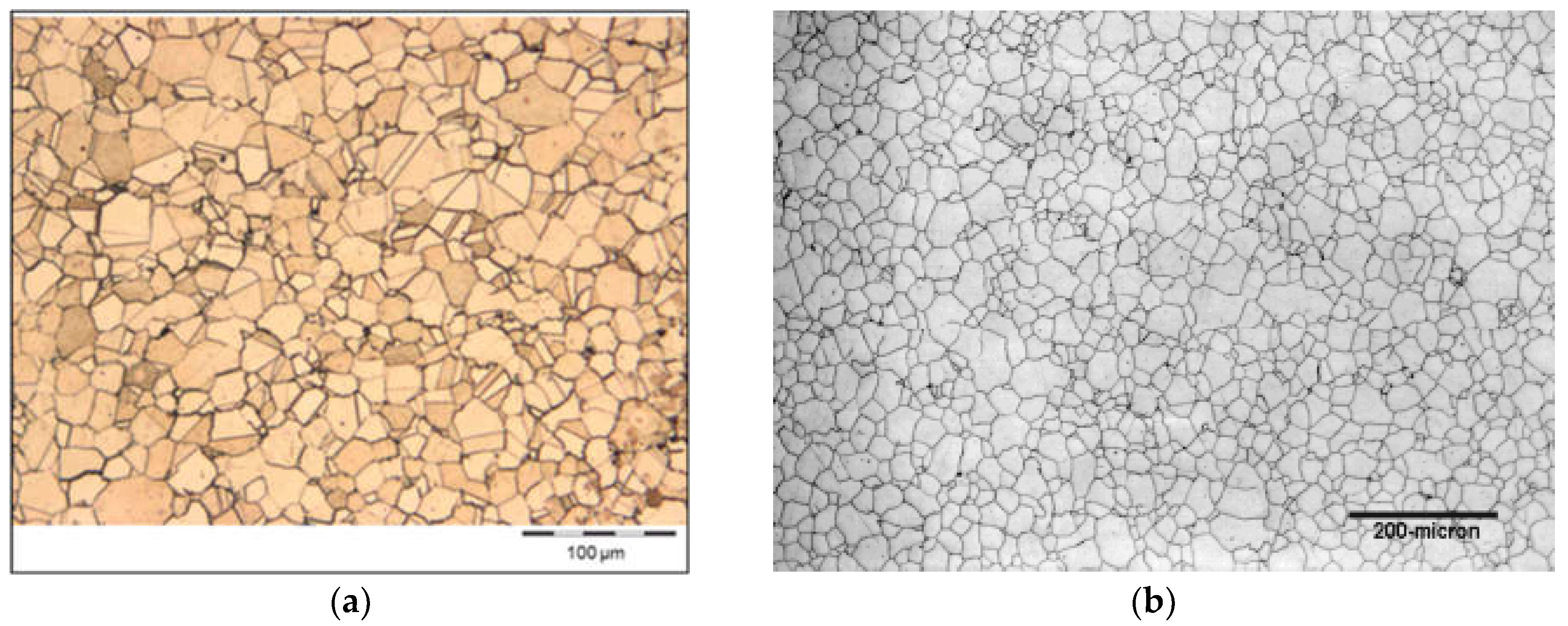 Preprints 105166 g001a